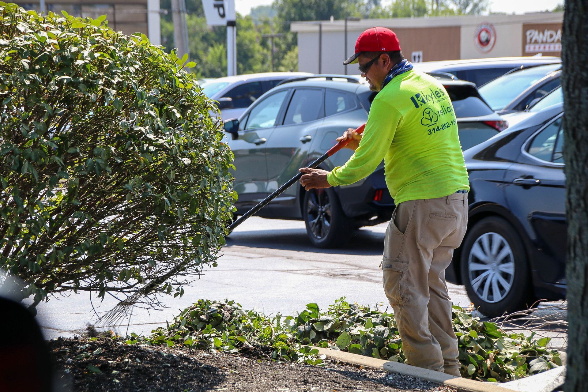 Landscaper pruning a bush in a parking lot. He wears a red cap, safety shirt, khaki pants, and sunglasses.