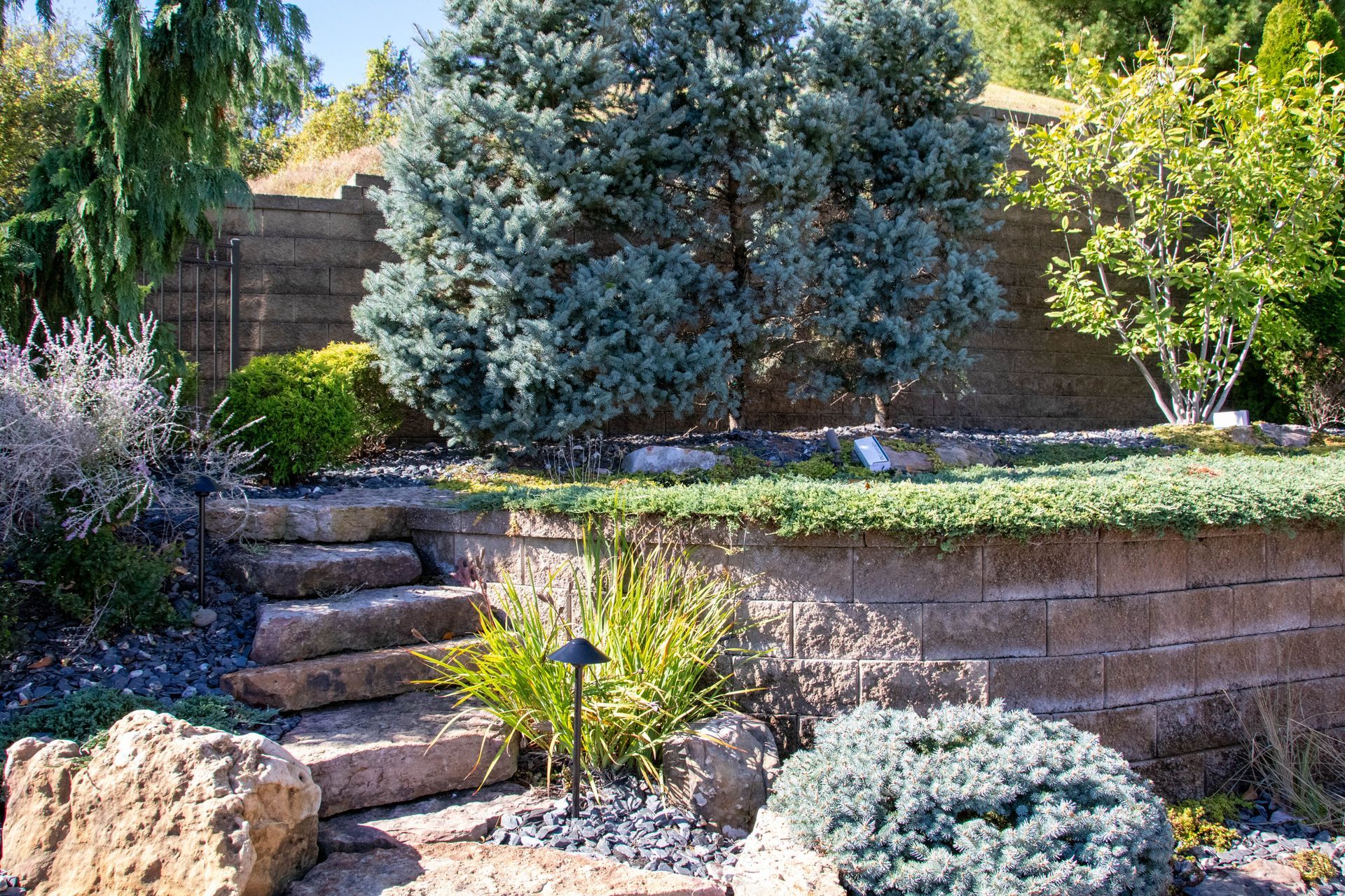Stone steps lead up a landscaped garden with a retaining wall and various shrubs and trees.