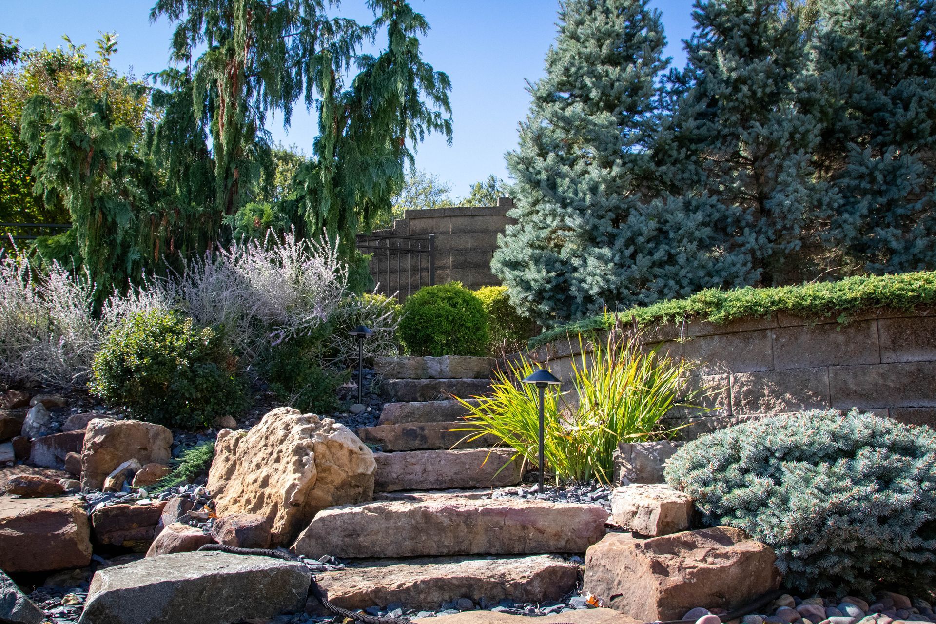 Stone steps in a garden, surrounded by various plants and trees under a blue sky.