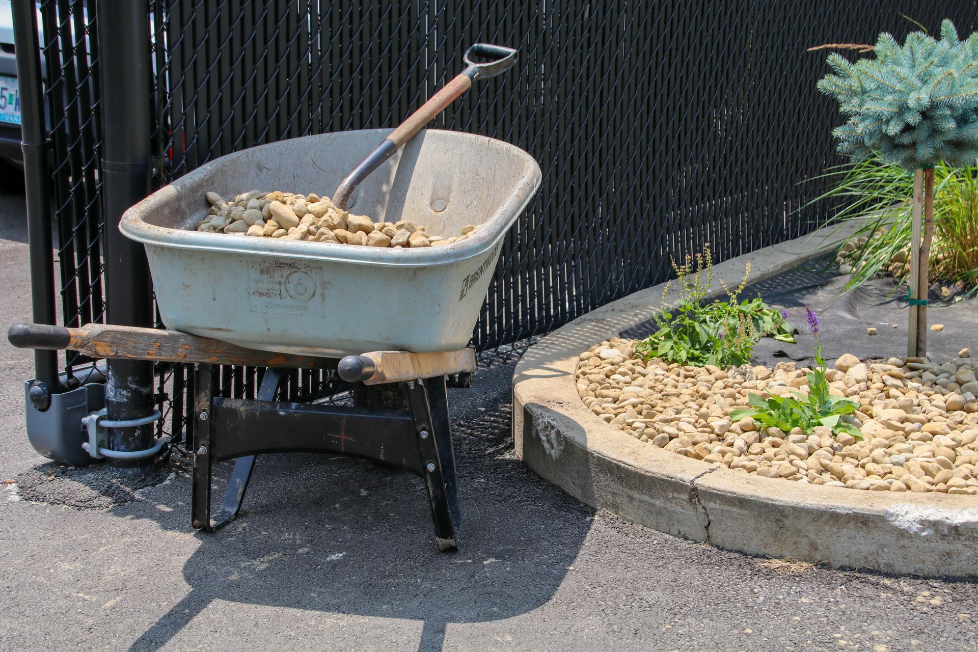 Wheelbarrow filled with gravel, shovel inside. Next to a landscaped bed with gravel and a small tree.