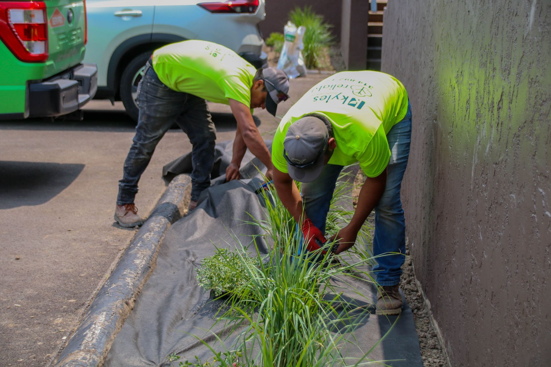 Two workers in green shirts trim plants next to a wall and a black fabric. A green truck is visible.
