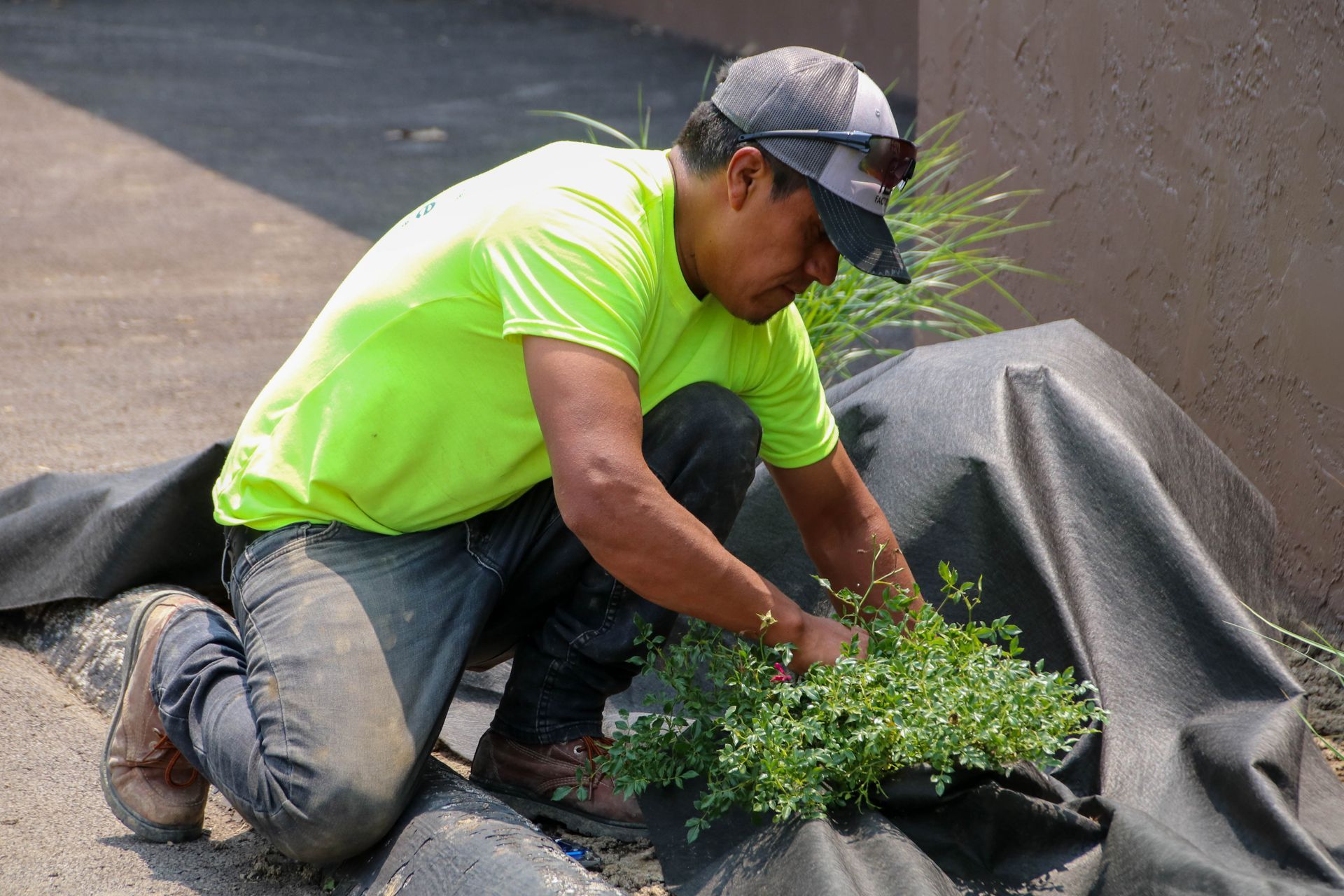 Man in neon green shirt planting greenery by pavement.