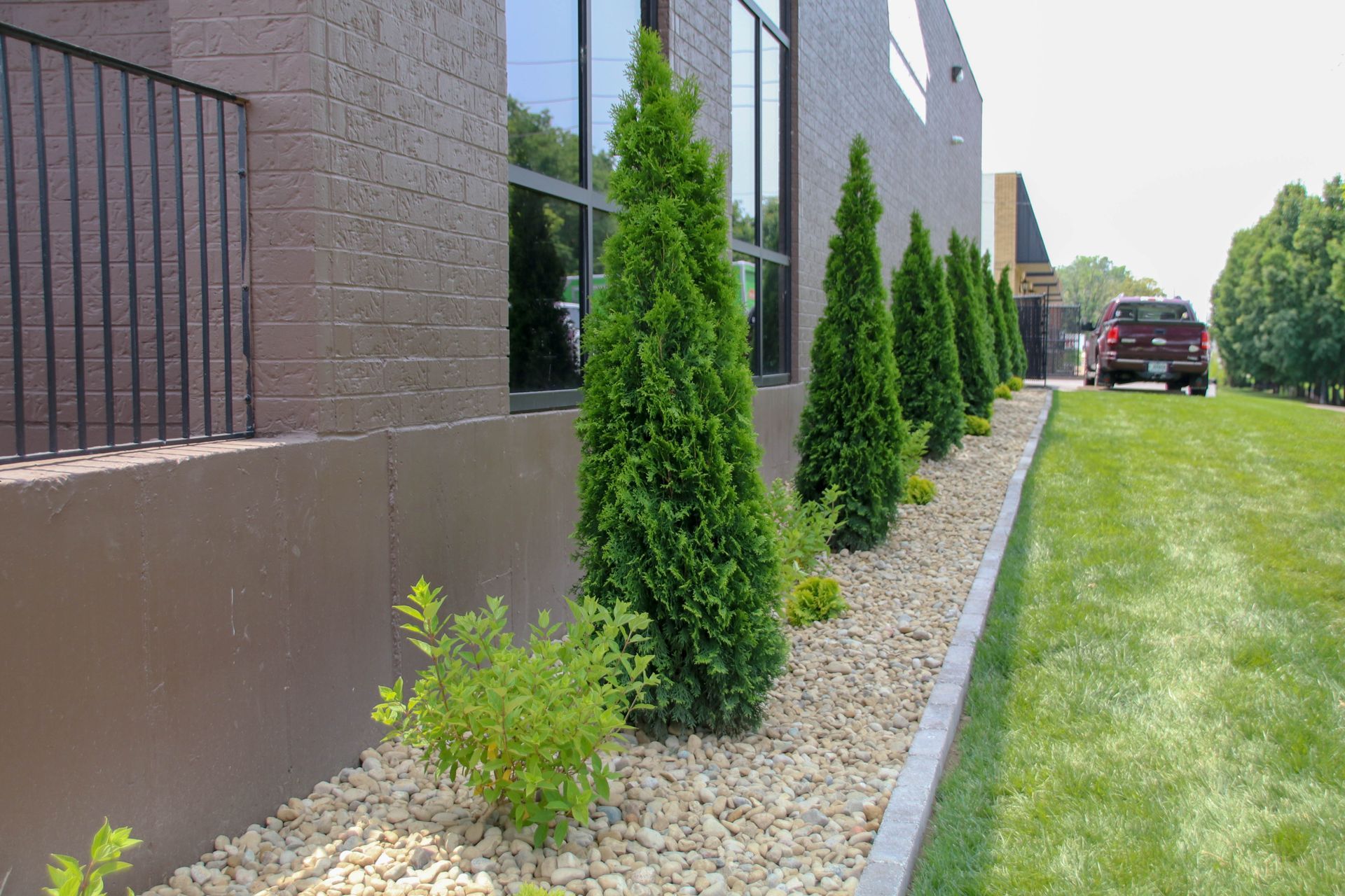 Row of evergreen trees along a building with a brown facade, gravel, and a grassy lawn.