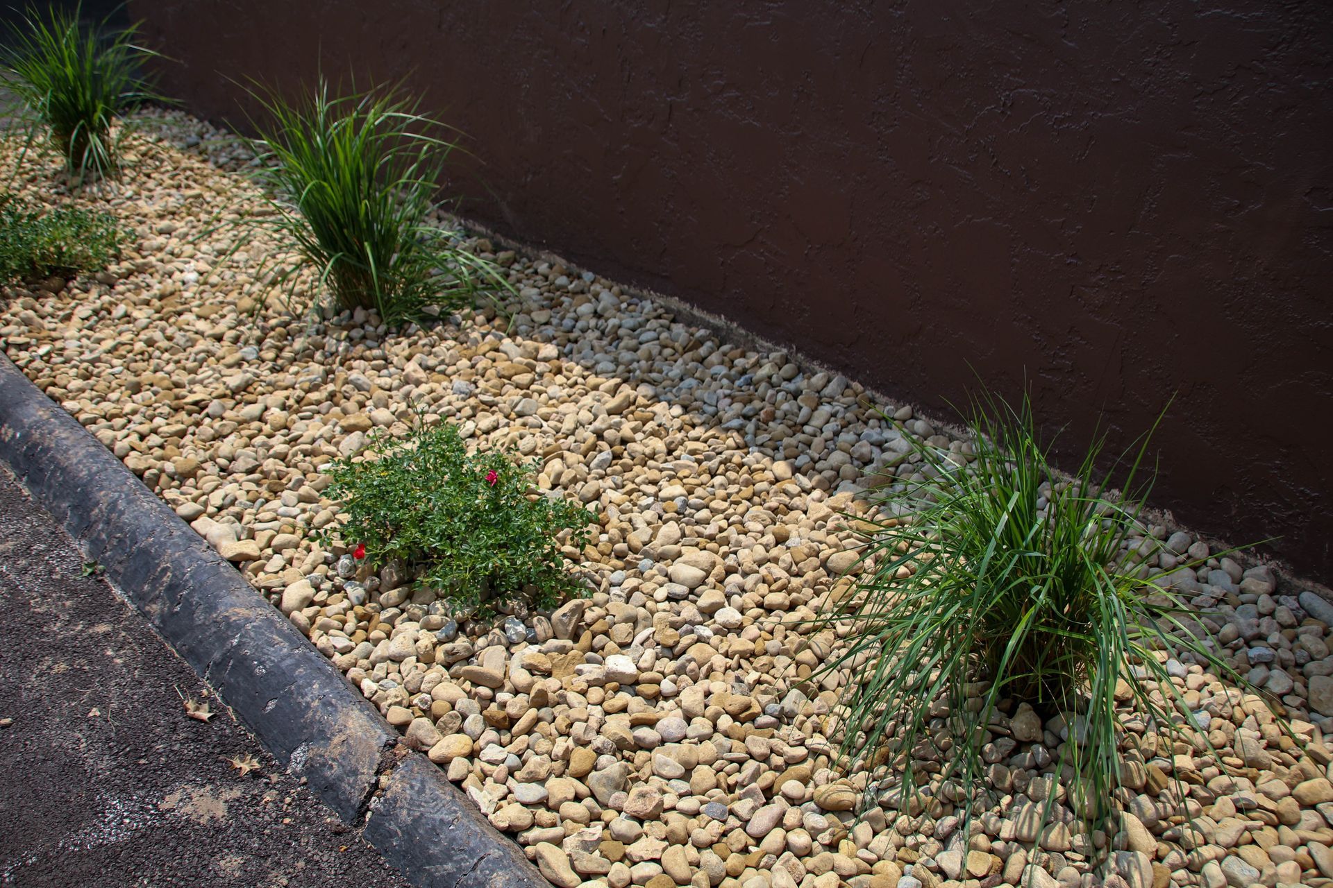 Gravel bed with green plants next to a dark wall and a curb.