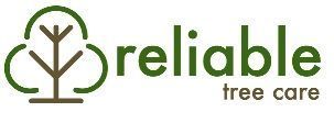 Reliable Tree Care