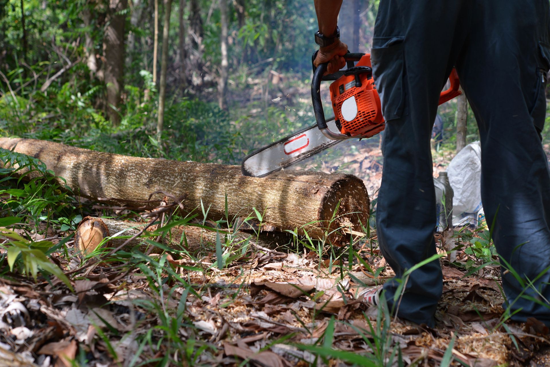 Good Ol Boys Tree Service, LLC