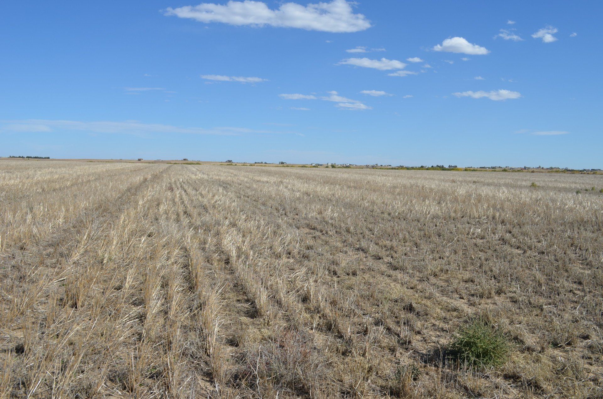Property in NE of Bennett Adams County