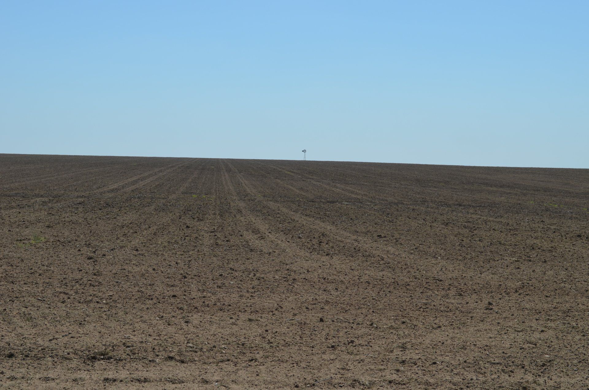 A barren field with a tree in the distance
