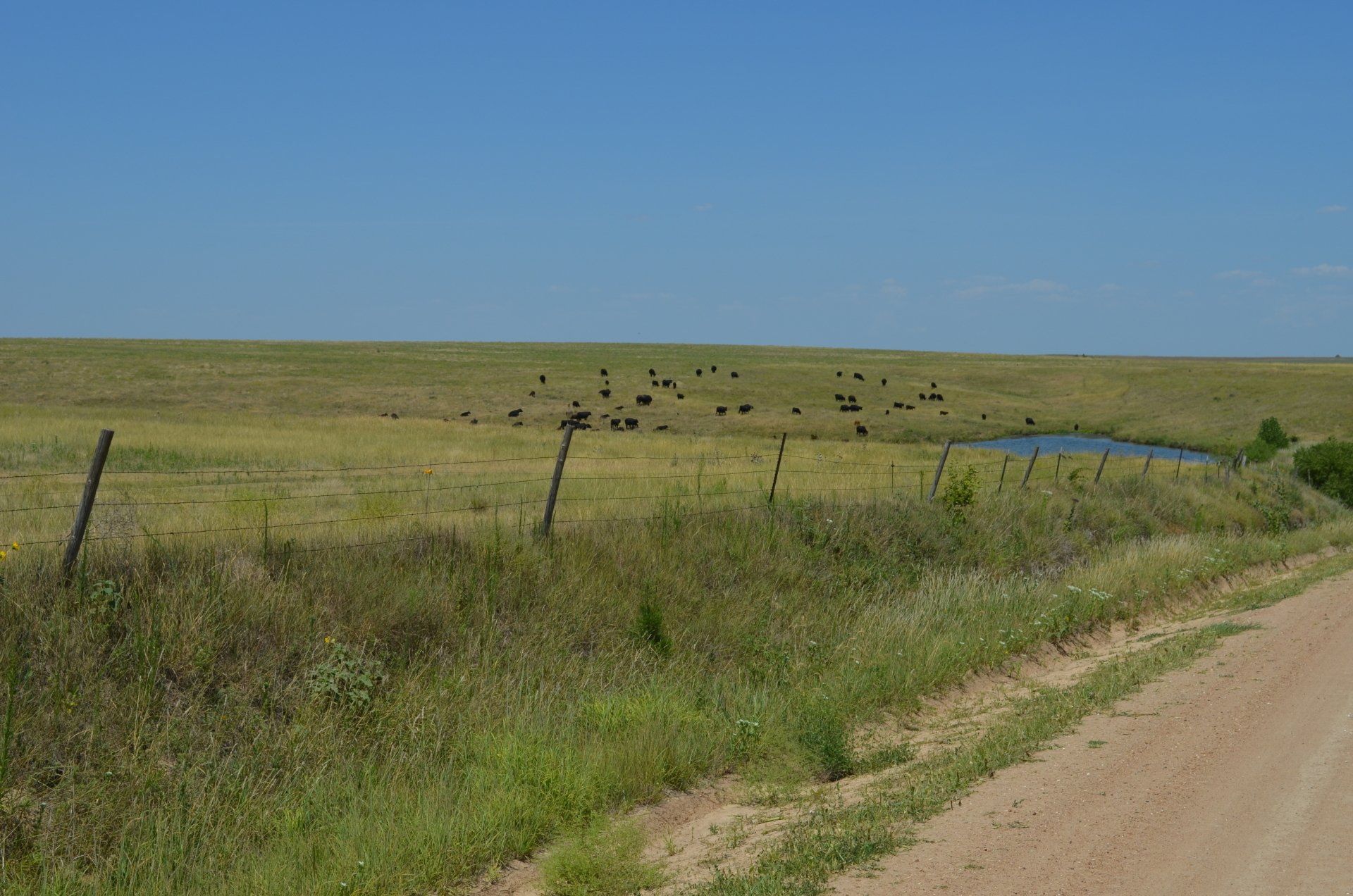 A dirt road going through a grassy field with a fence in the background.