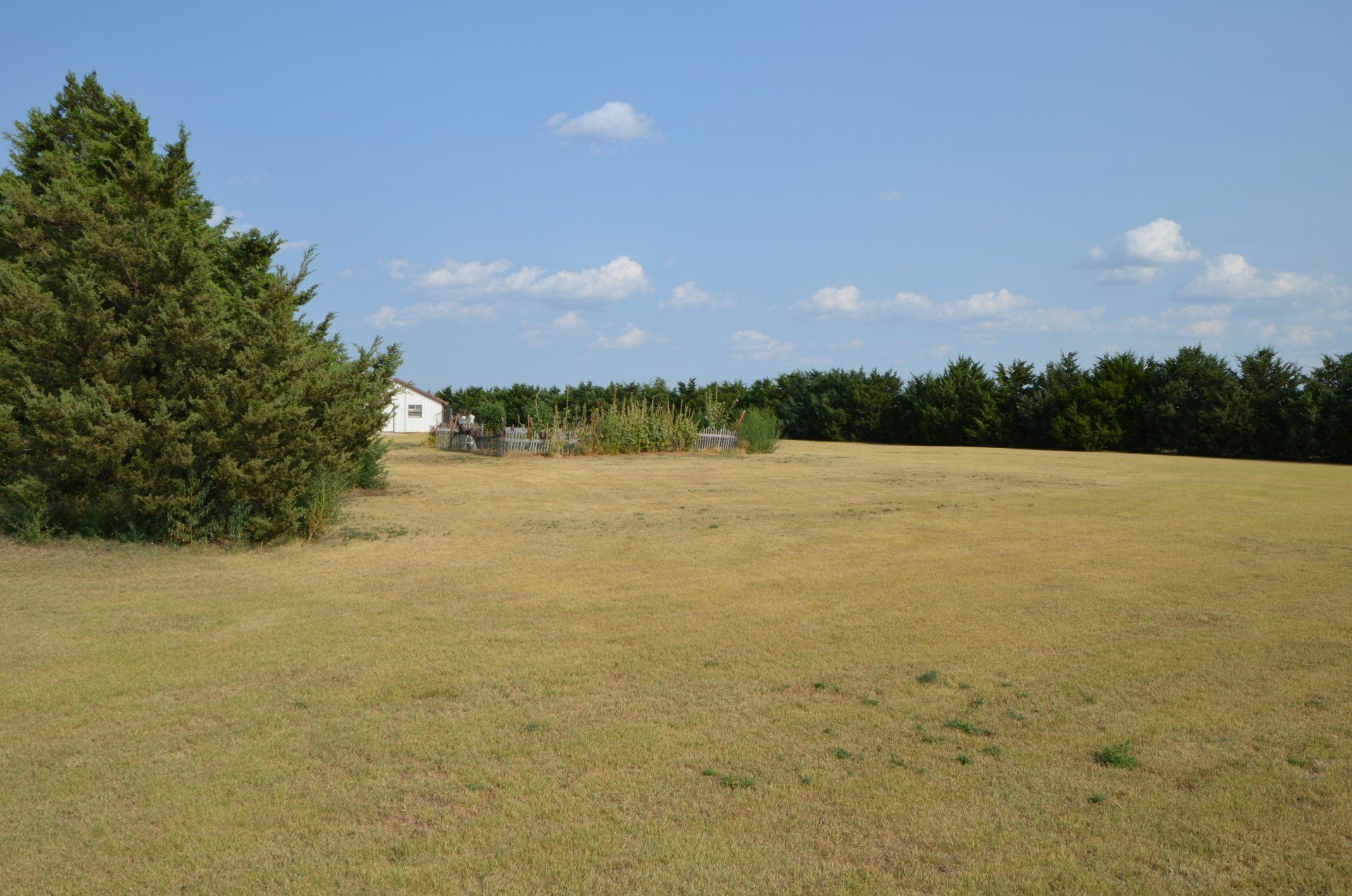 A large grassy field with trees in the background