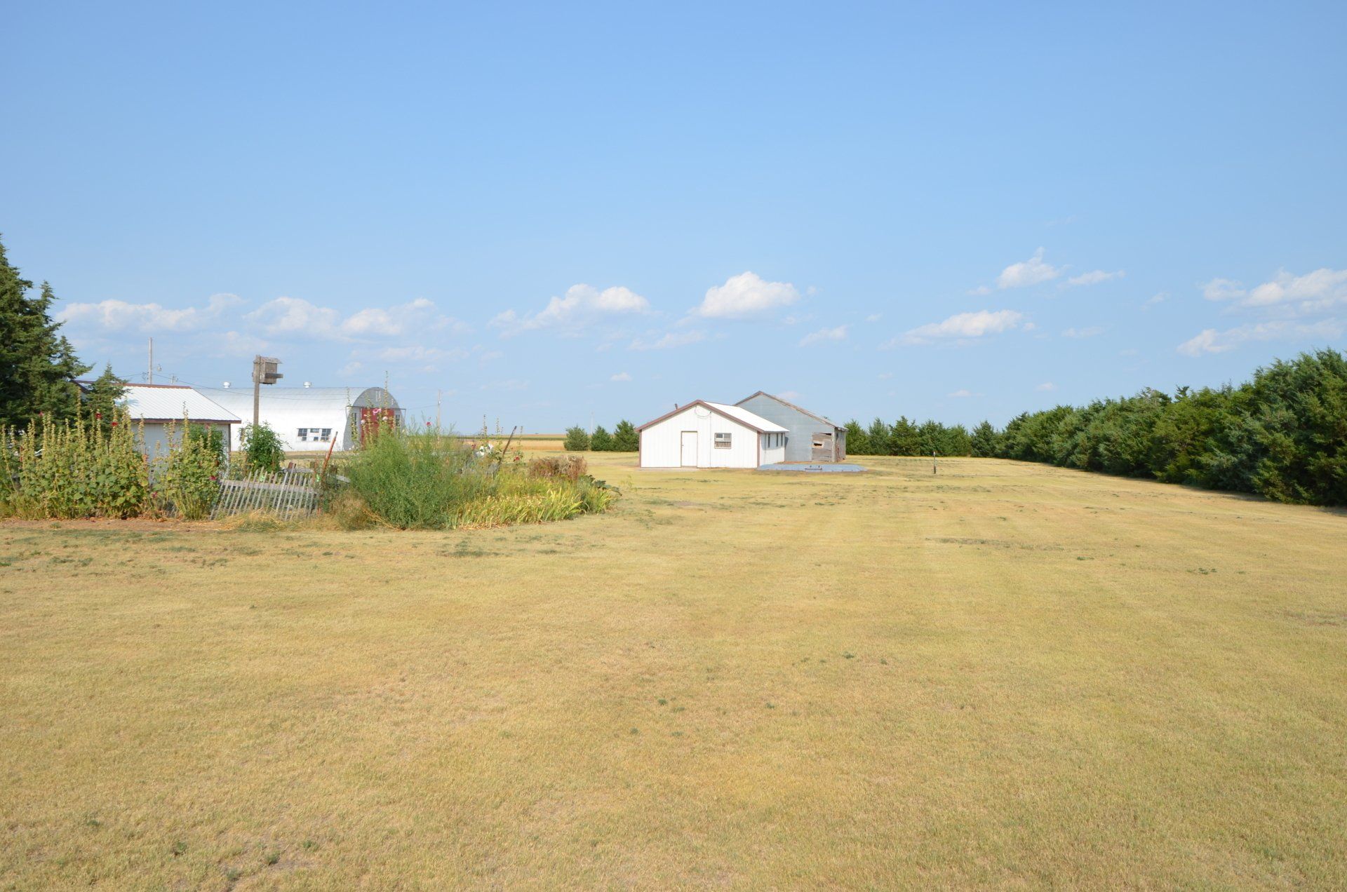A large grassy field with a white building in the background