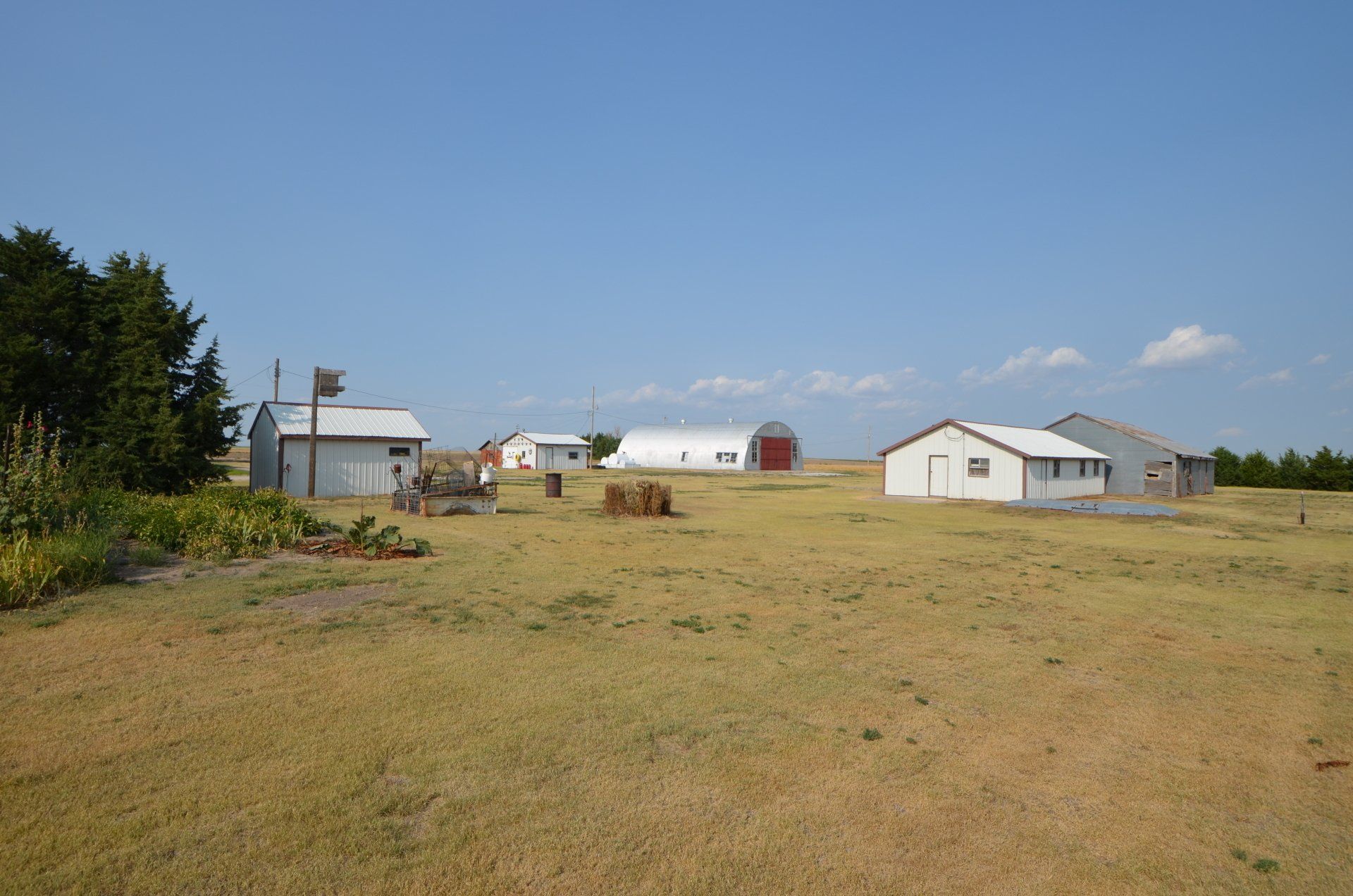 A large grassy field with a few buildings in the background