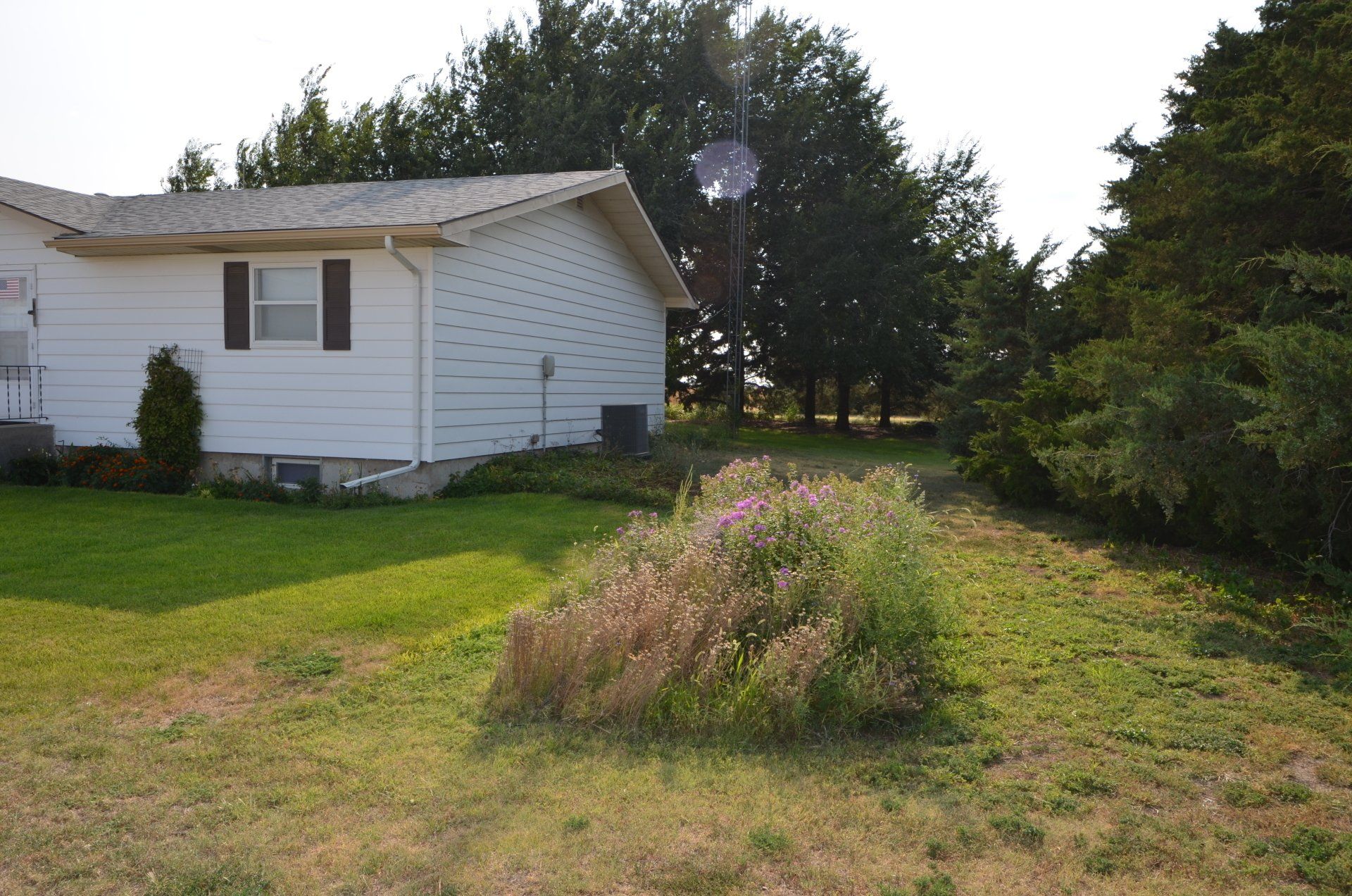 A white house sits in the middle of a lush green field