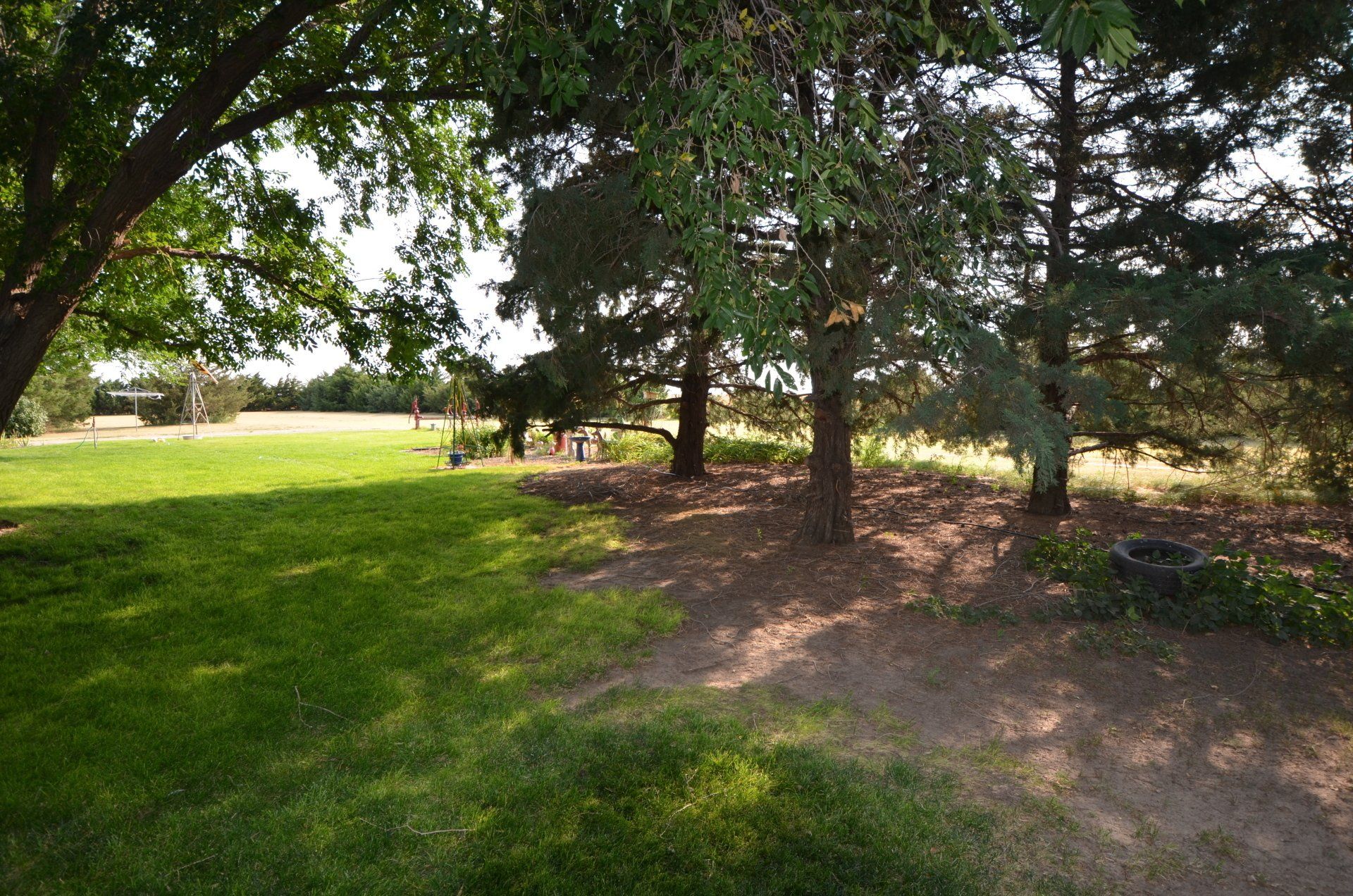 A lush green field surrounded by trees on a sunny day