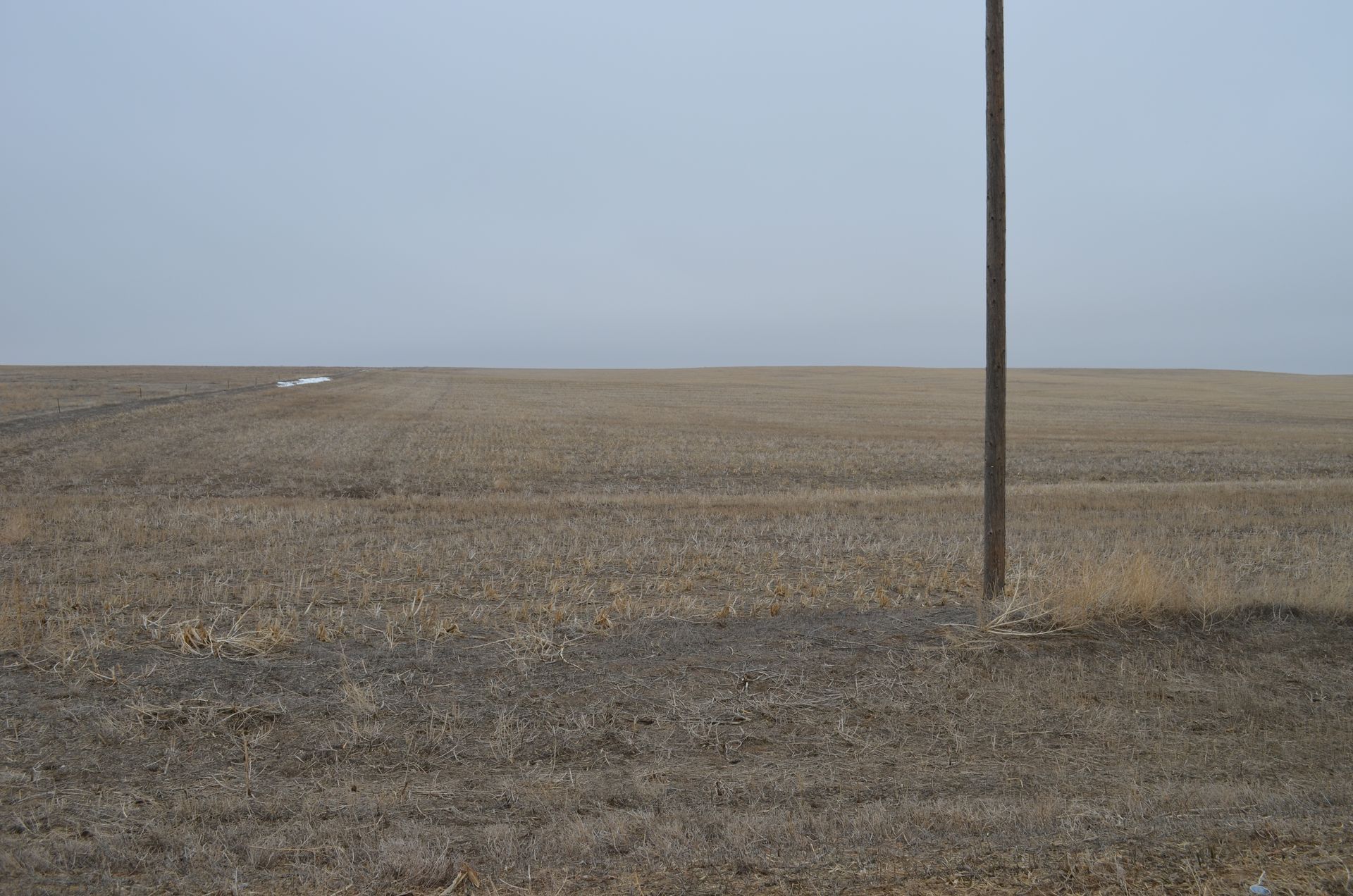 An empty field with a pole in the middle of it