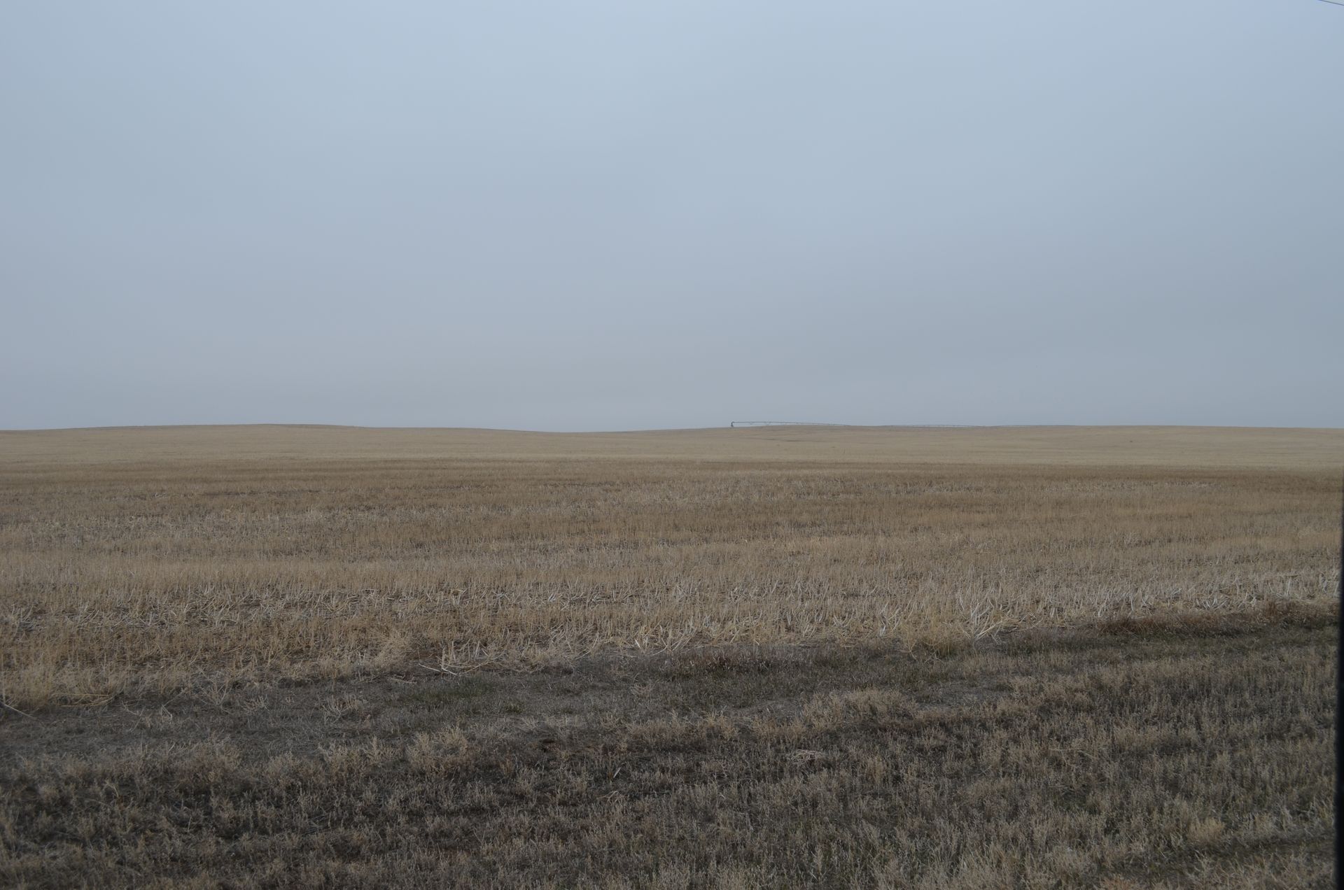 A large dry grass field with a cloudy sky in the background.