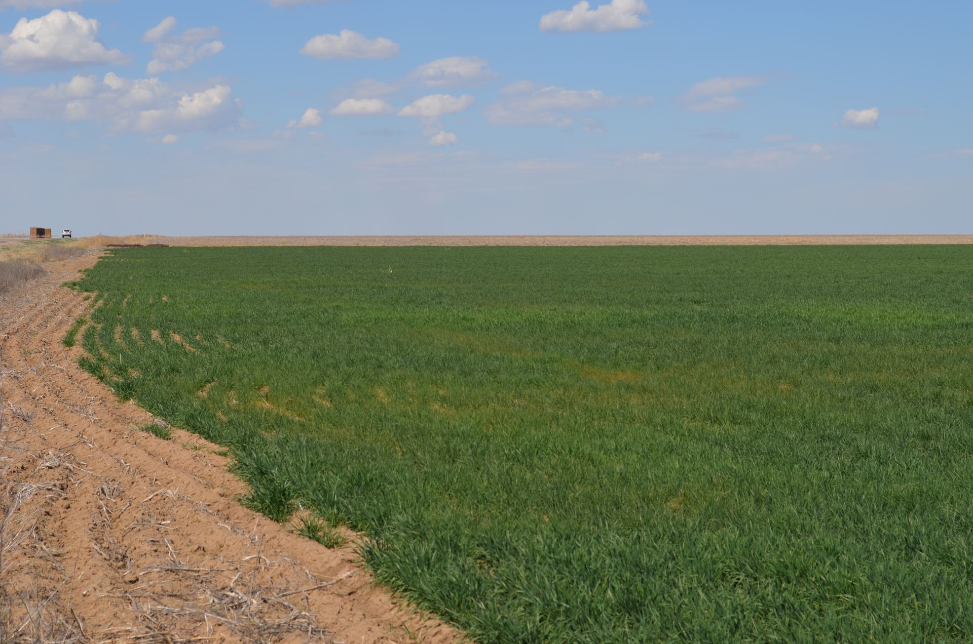 A large green field with a dirt road going through it