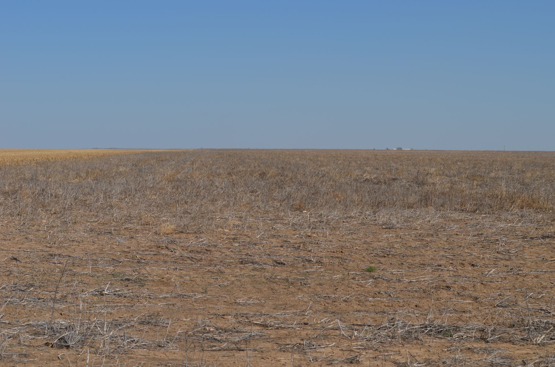 A large dry field with a blue sky in the background