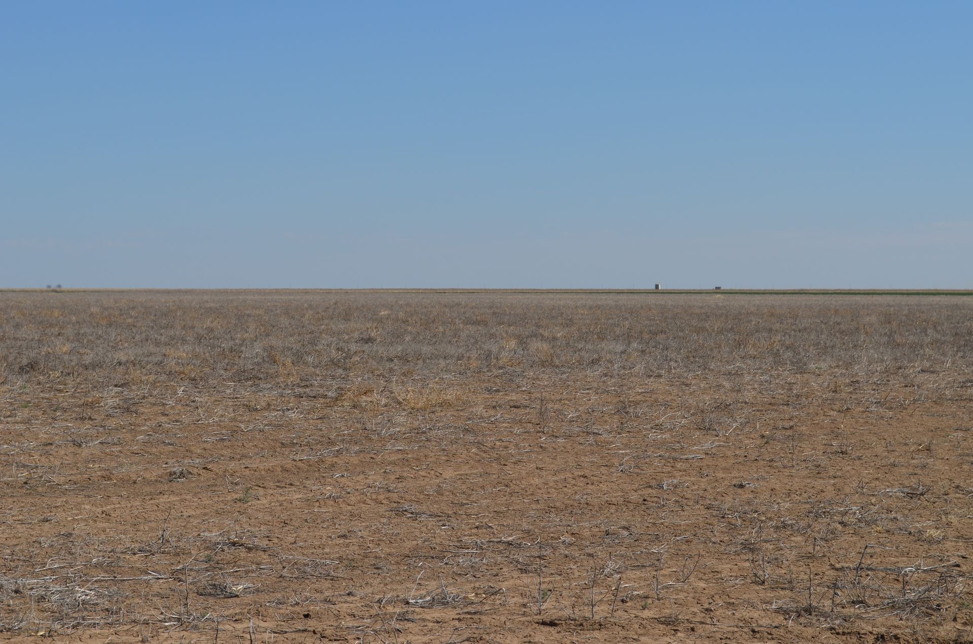 An empty field with a blue sky in the background