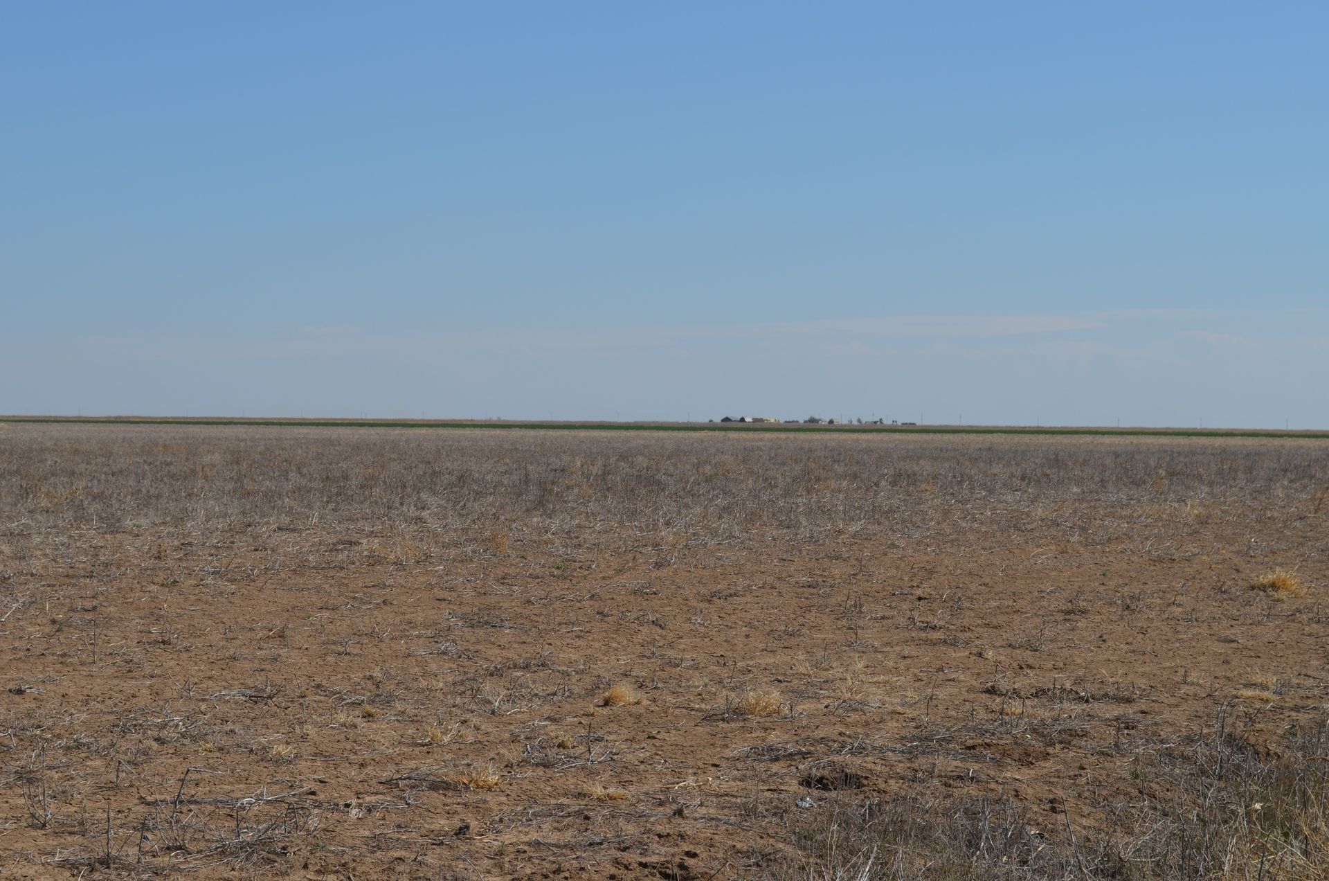 A large dry field with a blue sky in the background