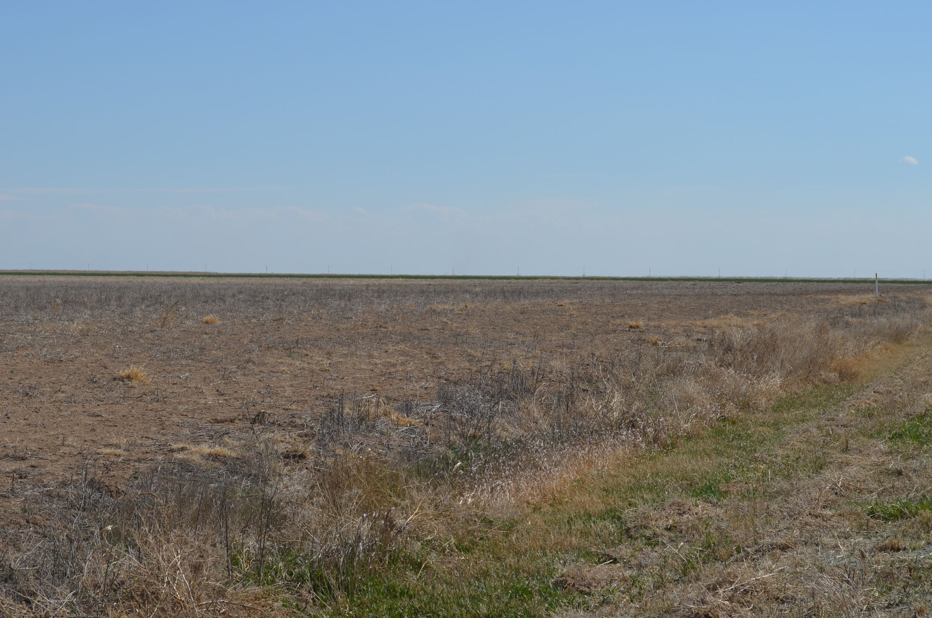 A large dry field with a blue sky in the background.