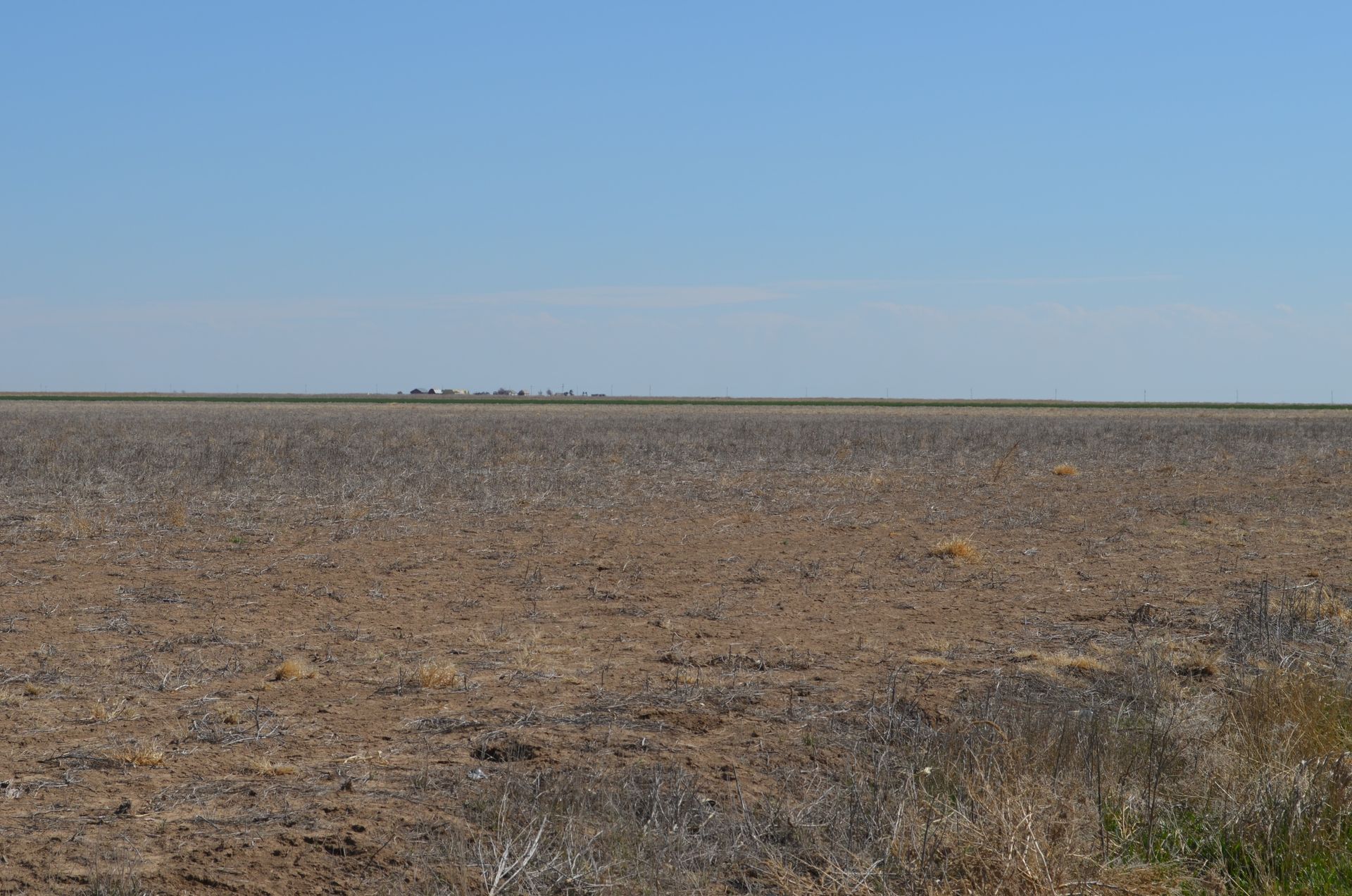 An empty field with a blue sky in the background