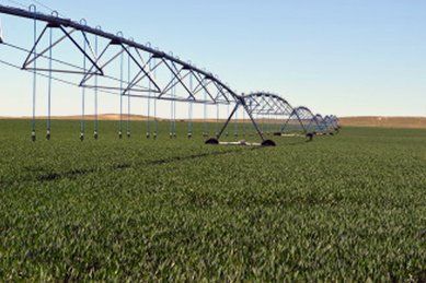 Yuma County Irrigated Land Auction