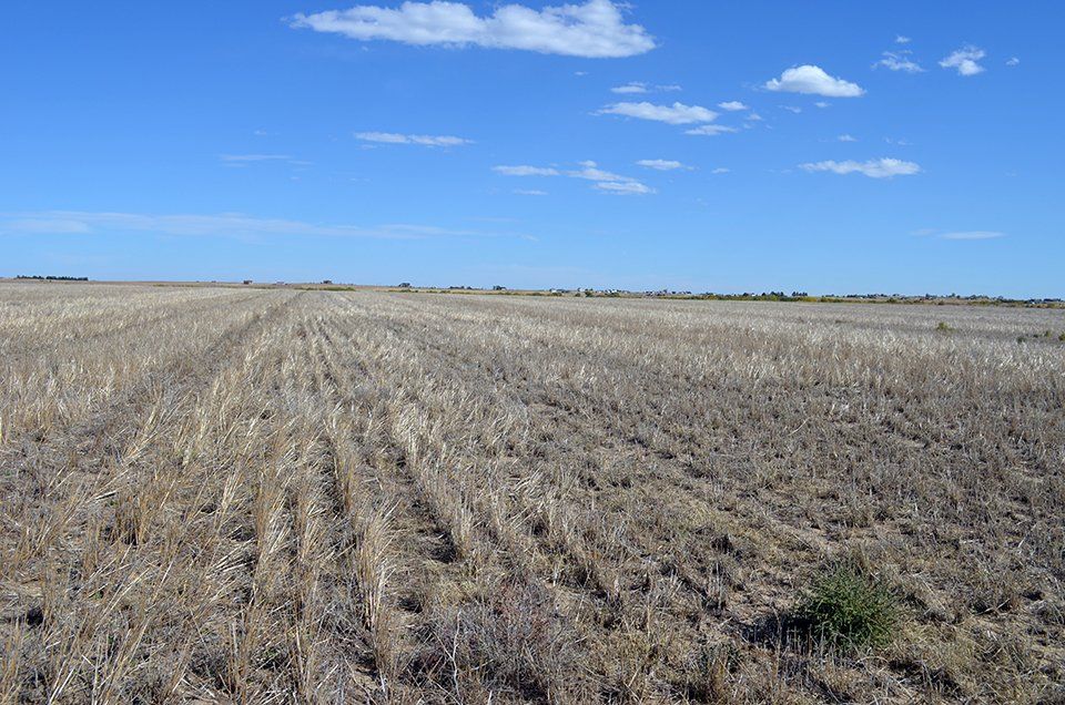 Northeast of Bennett, Adams County