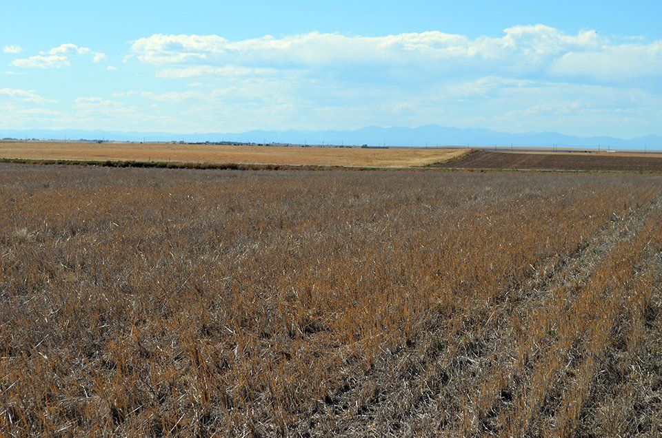 Northeast of Bennett, Adams County