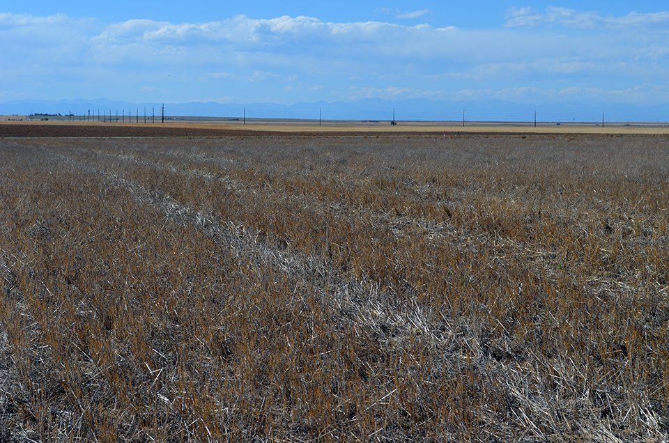 Northeast of Bennett, Adams County