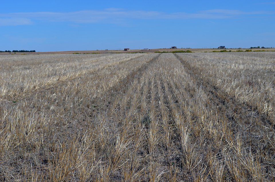 Northeast of Bennett, Adams County