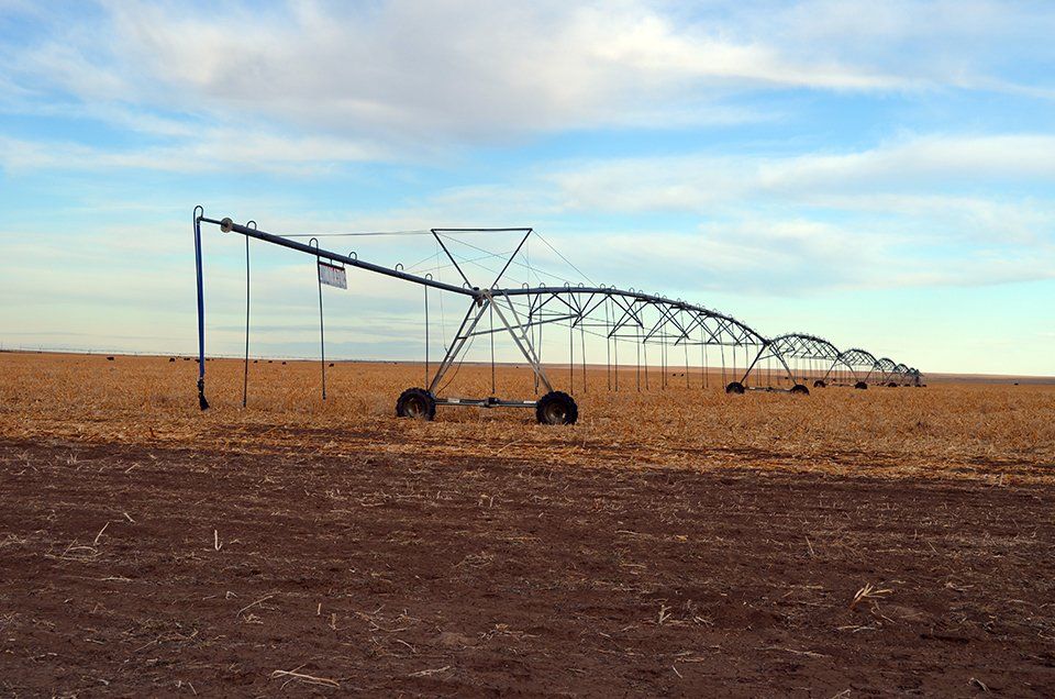 Kit Carson County farm