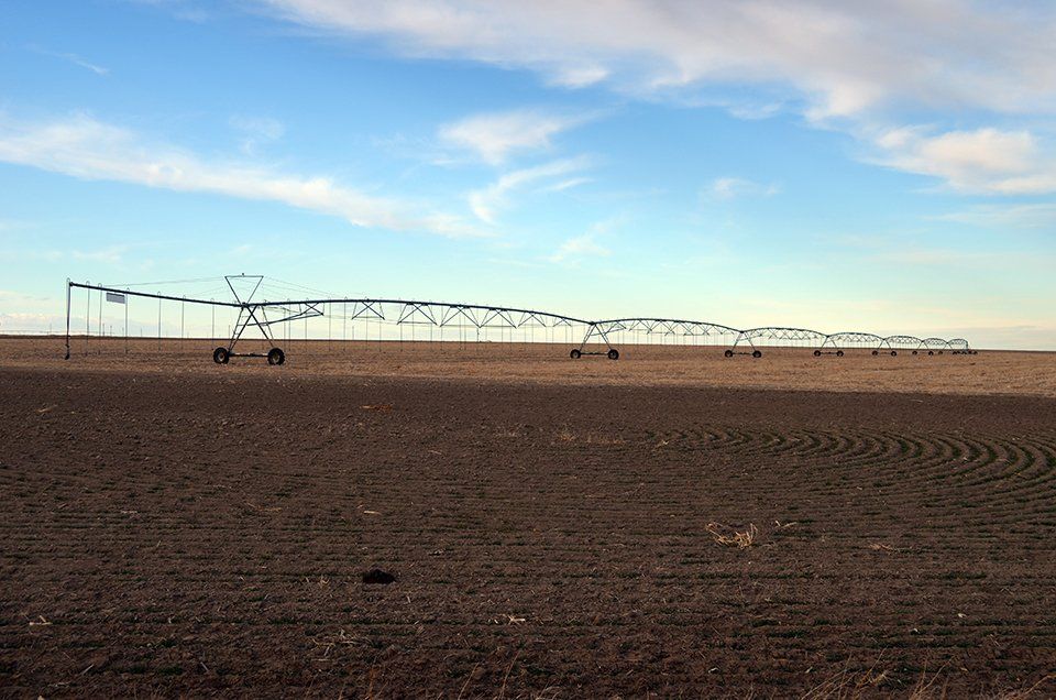 Kit Carson County farm