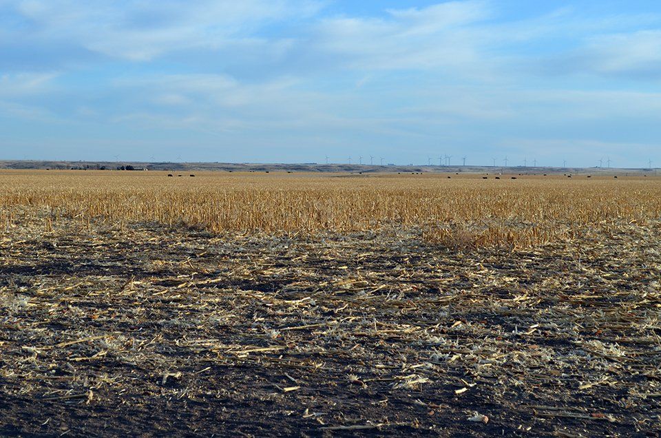 Kit Carson County farm