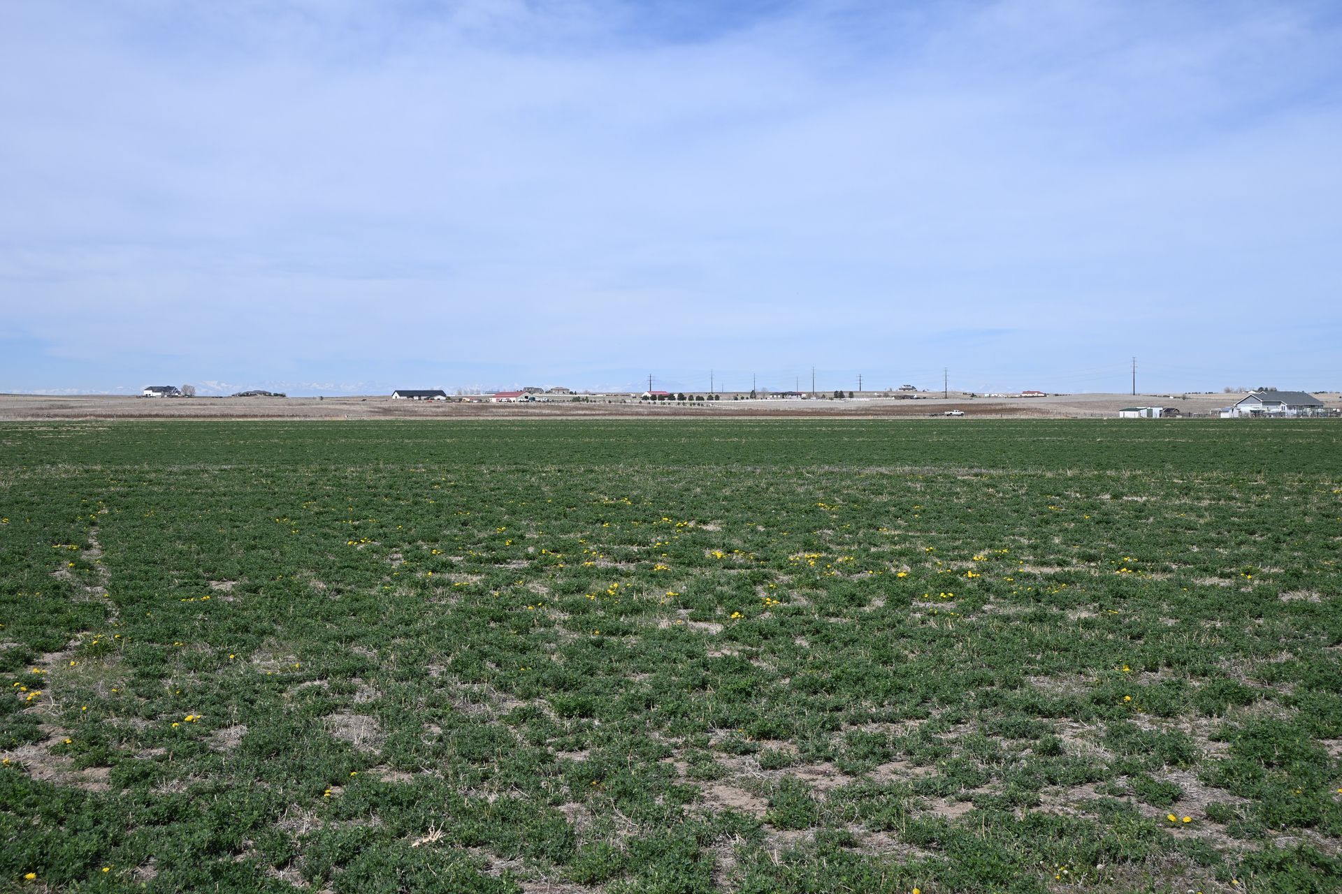 Wide green field under a blue sky, with distant buildings on the horizon