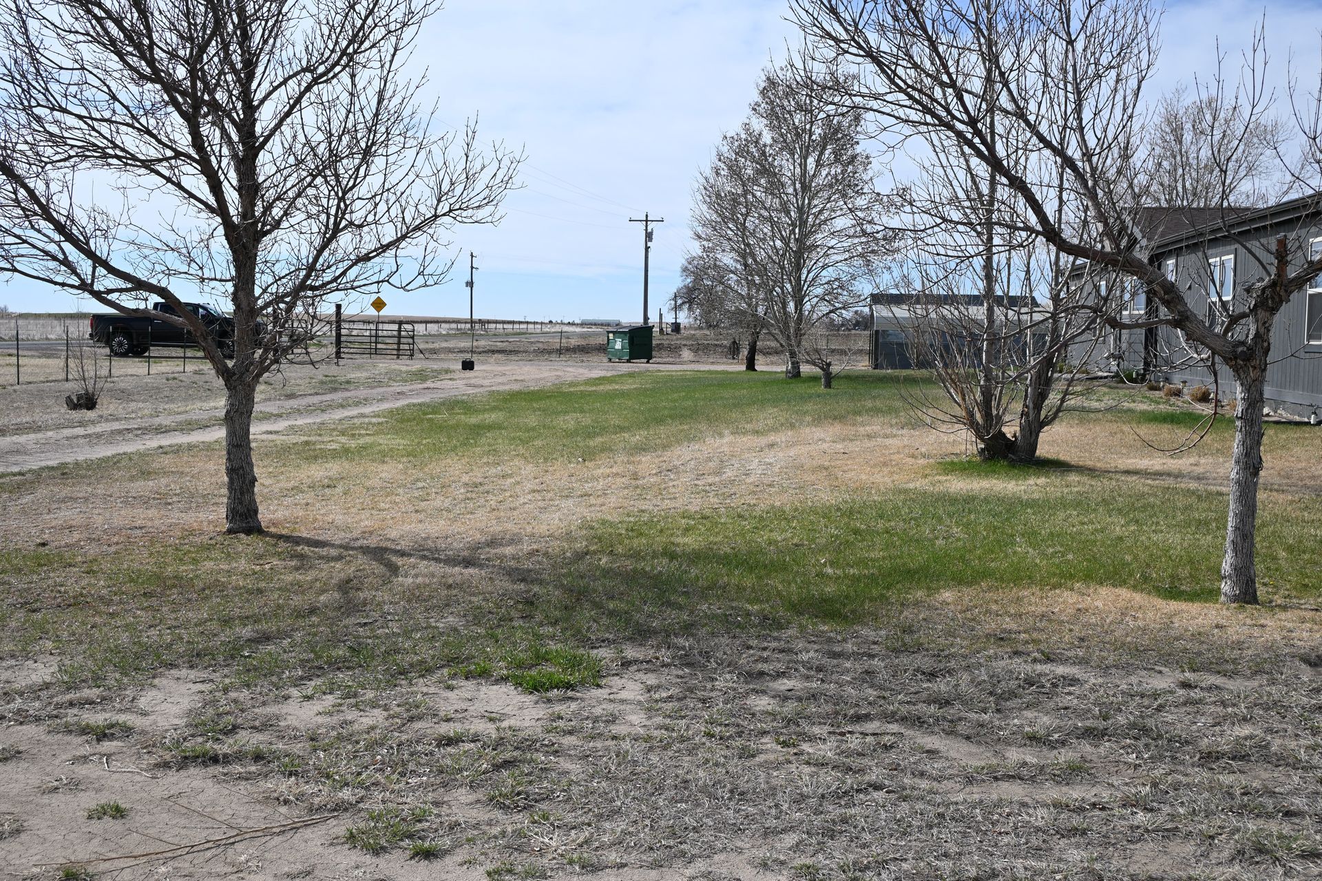 Sparse grassy park with leafless trees, a path, and a distant bench under a cloudy sky