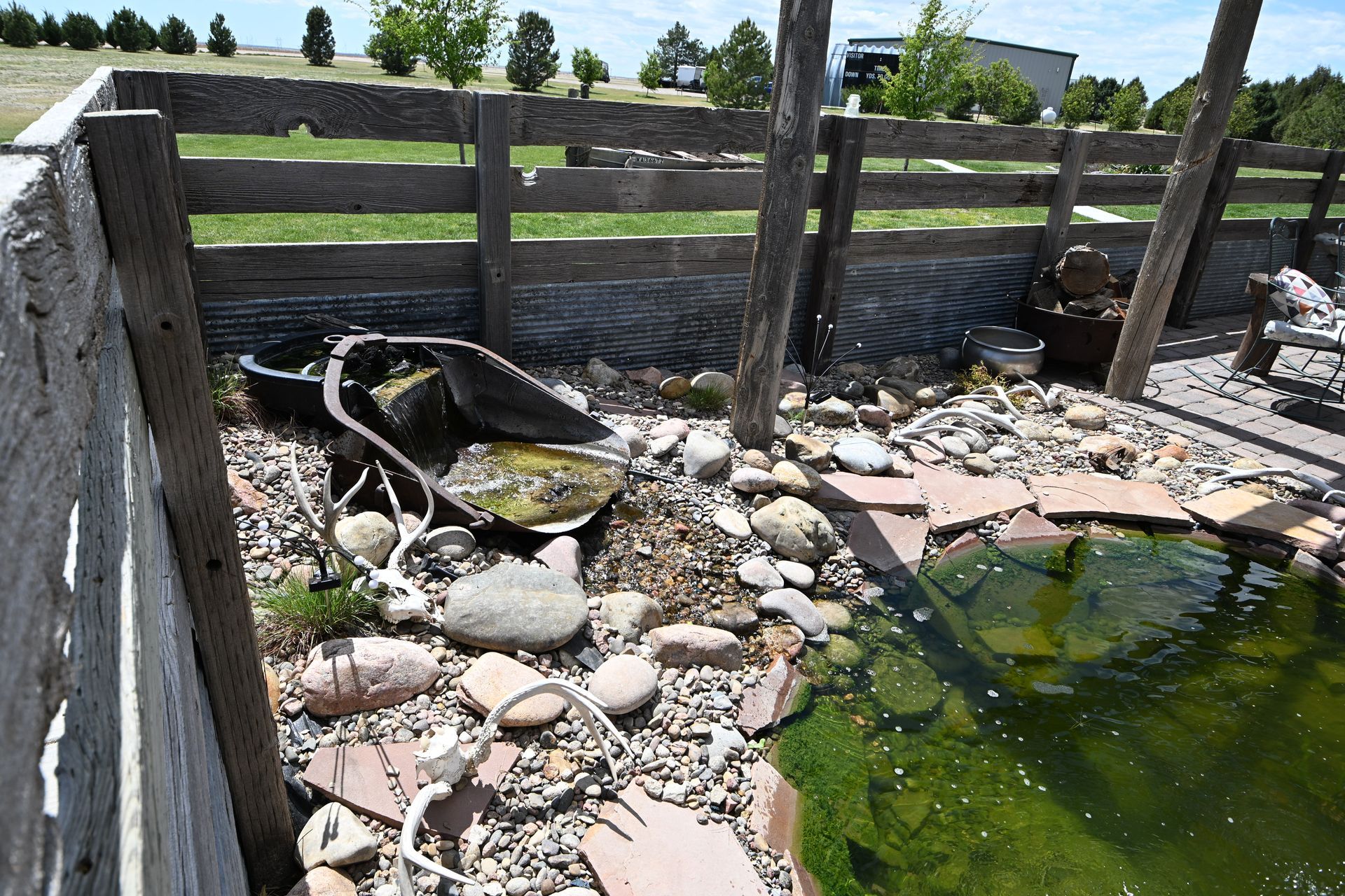 Koi pond with green water, rocks, and a wooden fence in a sunny yard