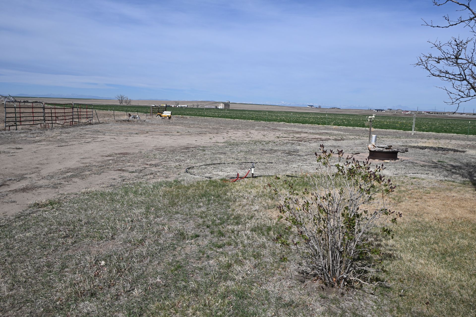 Dry grassy field under a blue sky, with a dirt road, fences, and a small wooden sign in the foreground