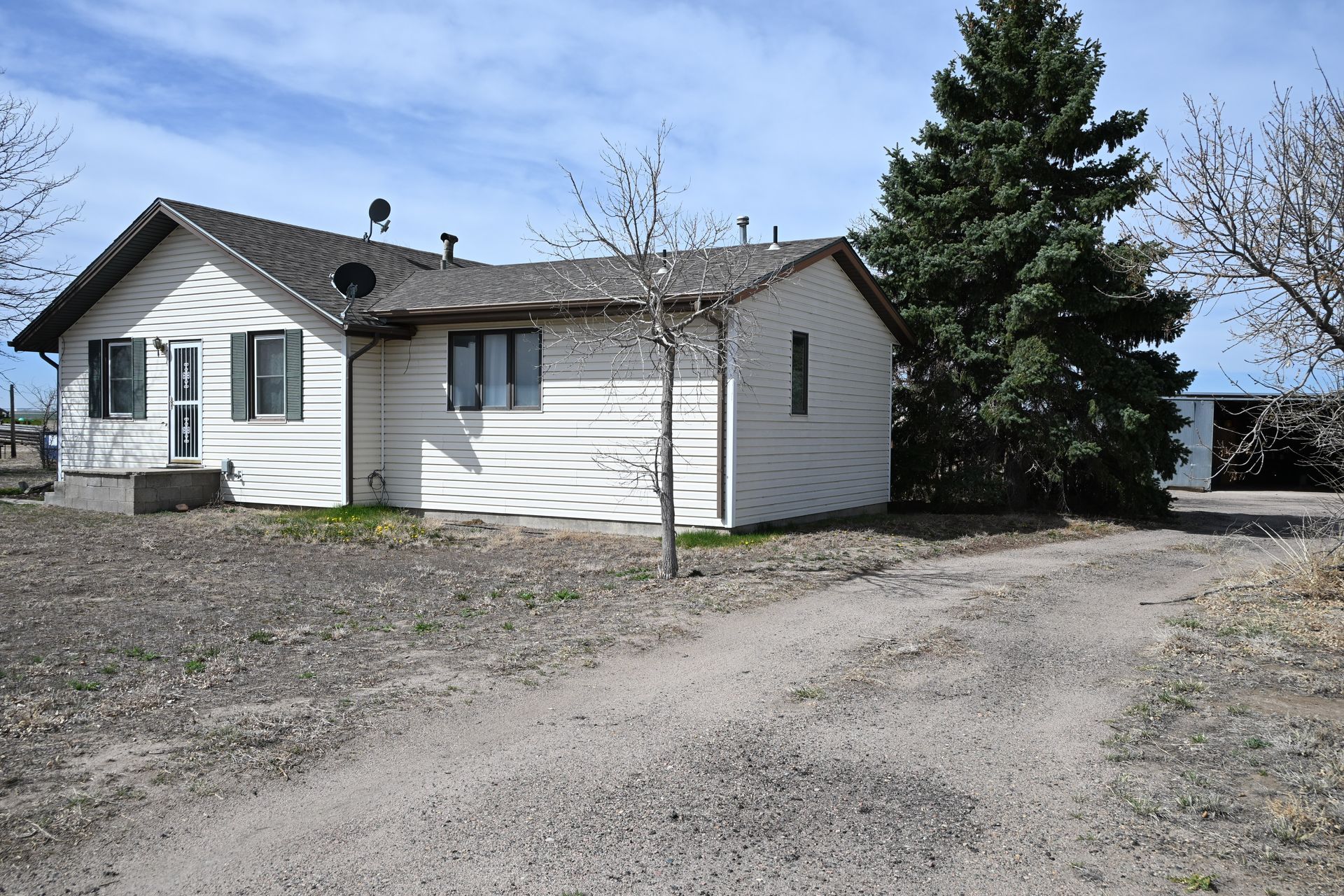 Single-story white house with a gravel driveway and large evergreen tree under a blue sky