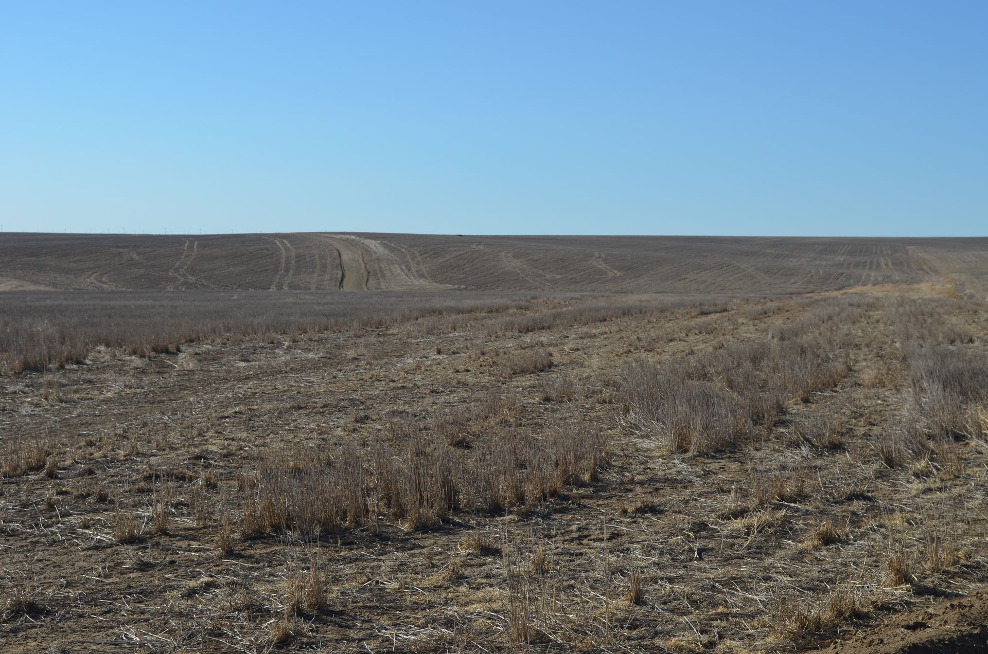 Flat, barren landscape with dry scrub and a clear blue sky