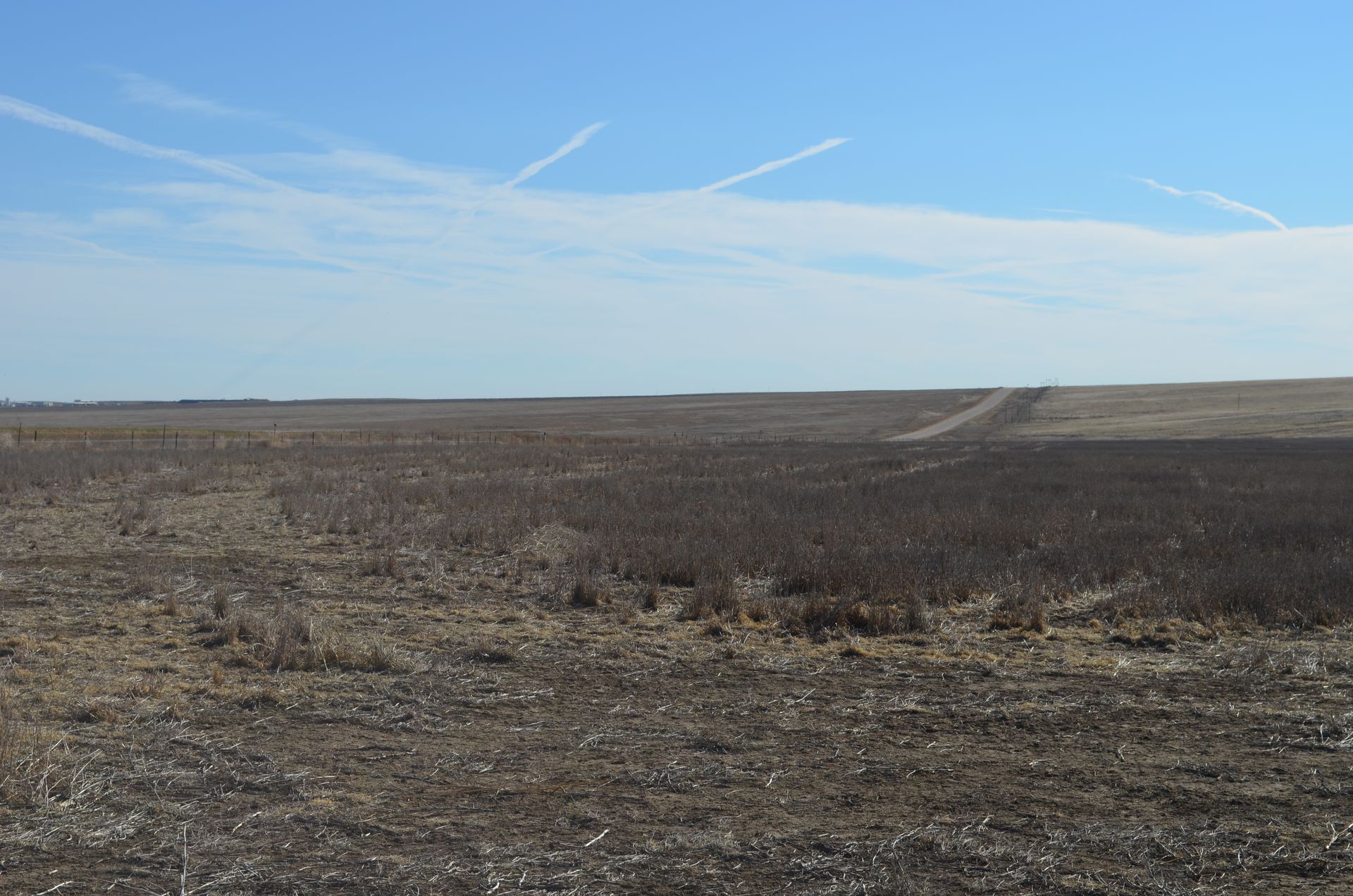 Wide barren field under a blue sky with thin clouds and a dirt road stretching into the distance