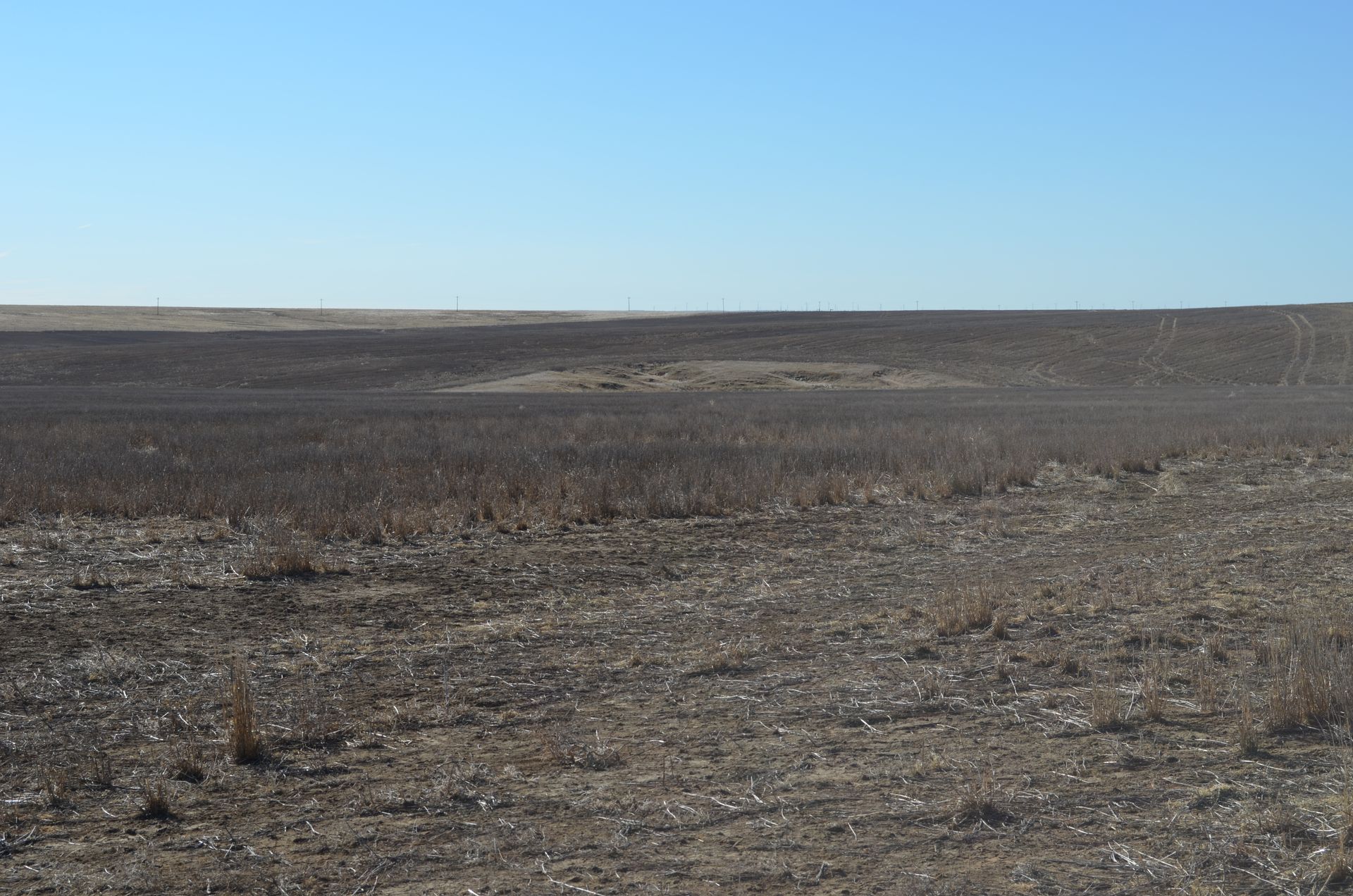Wide barren dry field under a clear blue sky, with no people or structures visible.