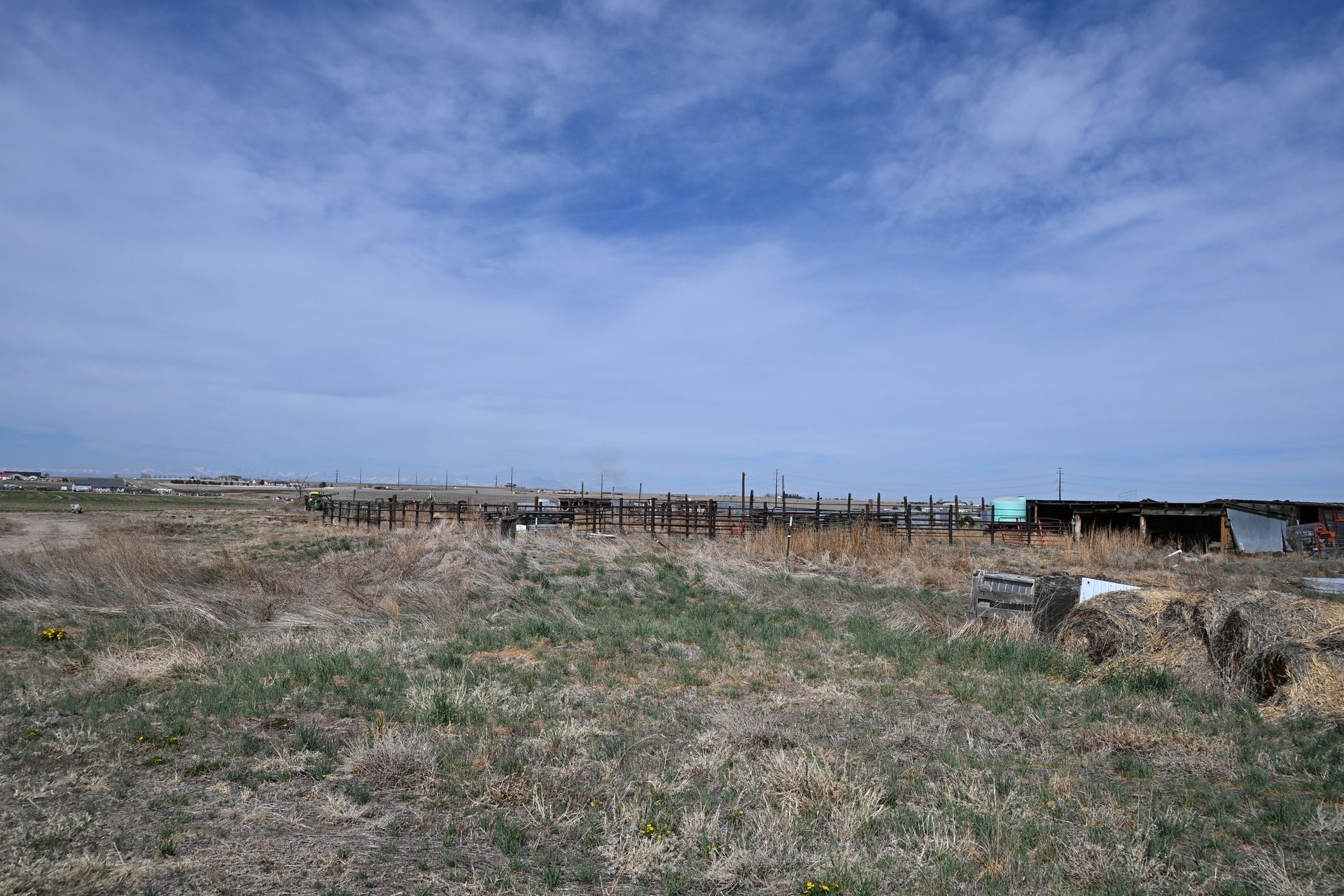Grassy coastal field under a blue sky, with low buildings and fences on the horizon.
