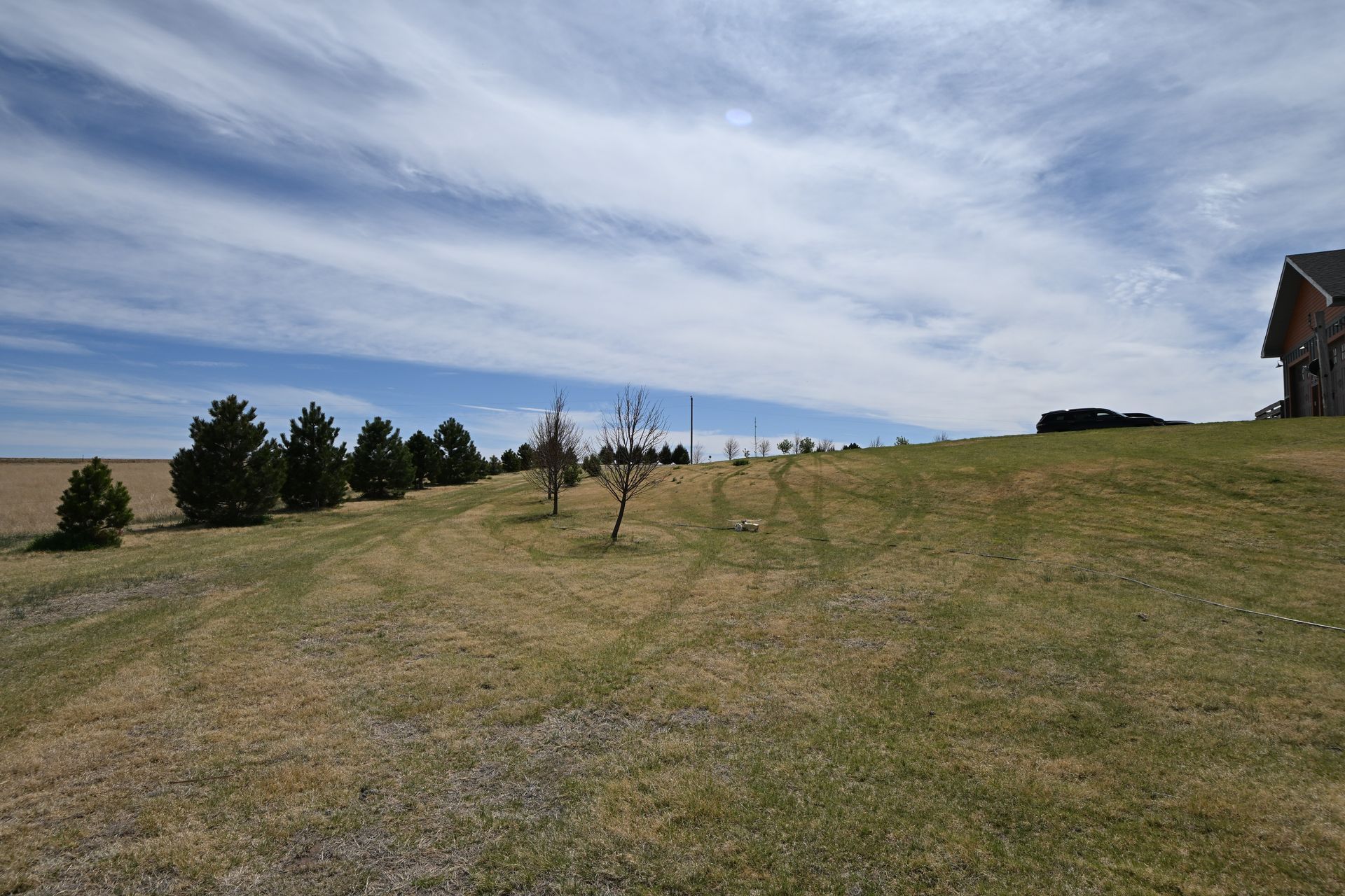 Grassy hillside with small trees under a cloudy sky, house at right edge