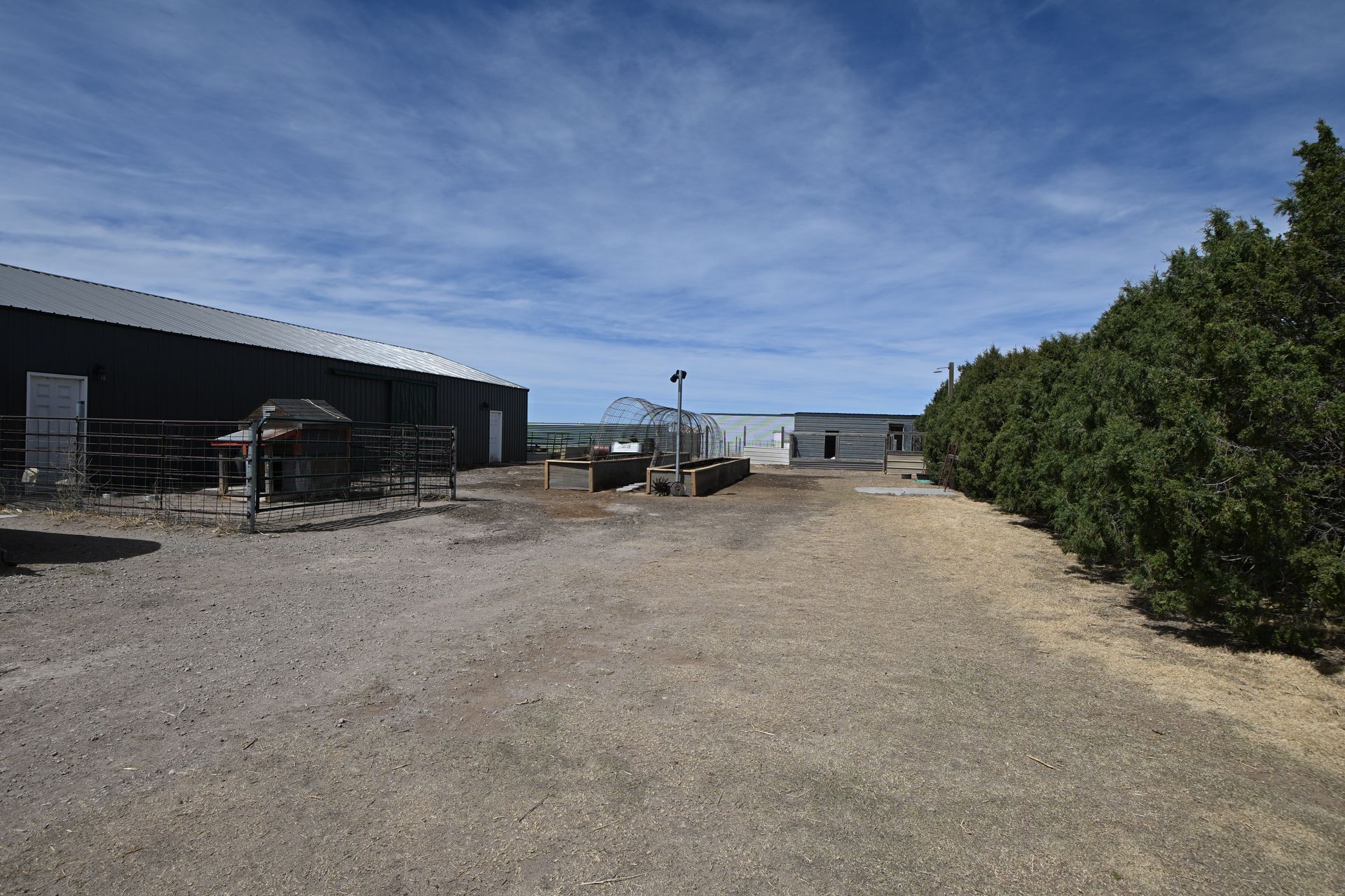 Gravel driveway beside farm buildings and trees under a clear blue sky