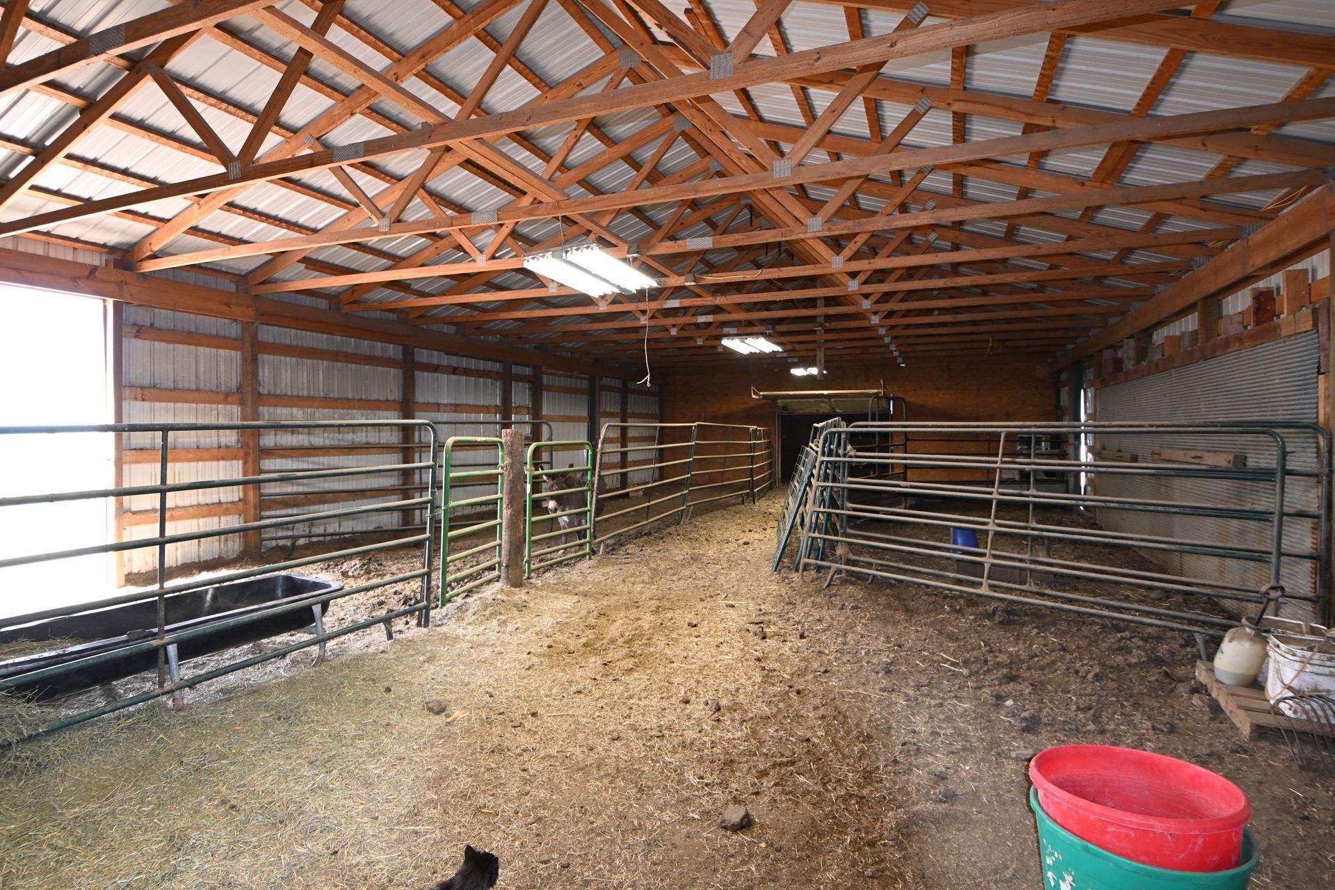 Empty barn aisle with metal pens, wood trusses, and gravel floor