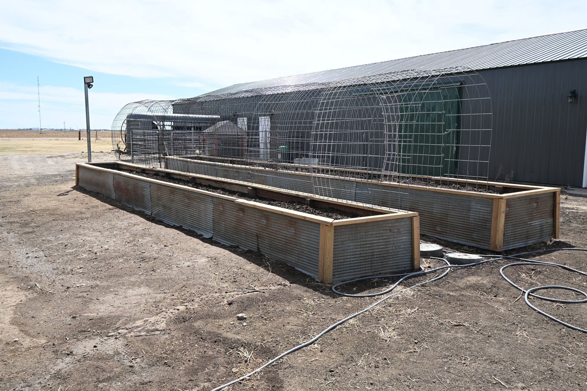 Long metal livestock pen outdoors beside a dark shed, with dry dirt ground and fencing panels.