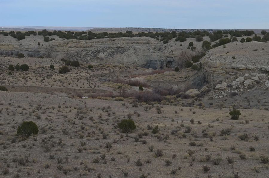 Desert landscape with a dry riverbed winding through eroded hills and scattered shrubs under a cloudy sky.