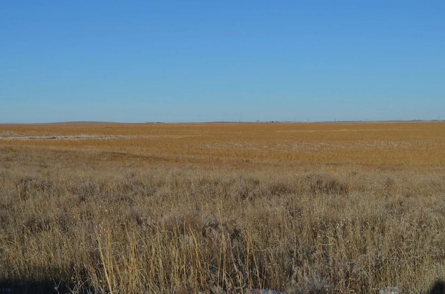 Dry, golden field under a bright blue sky.