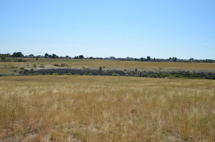 Vast dry grassy field under a clear blue sky, with low vegetation and a few distant trees on the horizon.